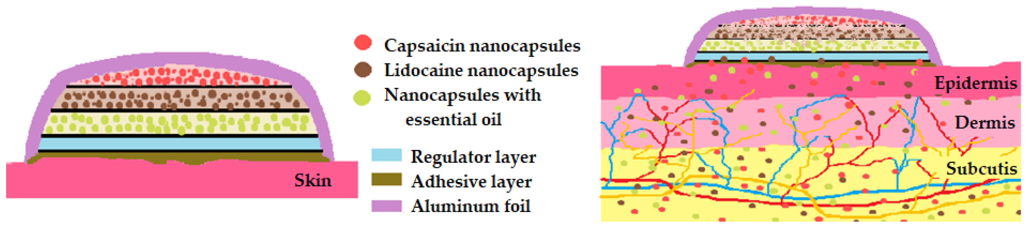 Pharmaceutics 16 00626 g002 Pharmaceutics 16 00626 g002