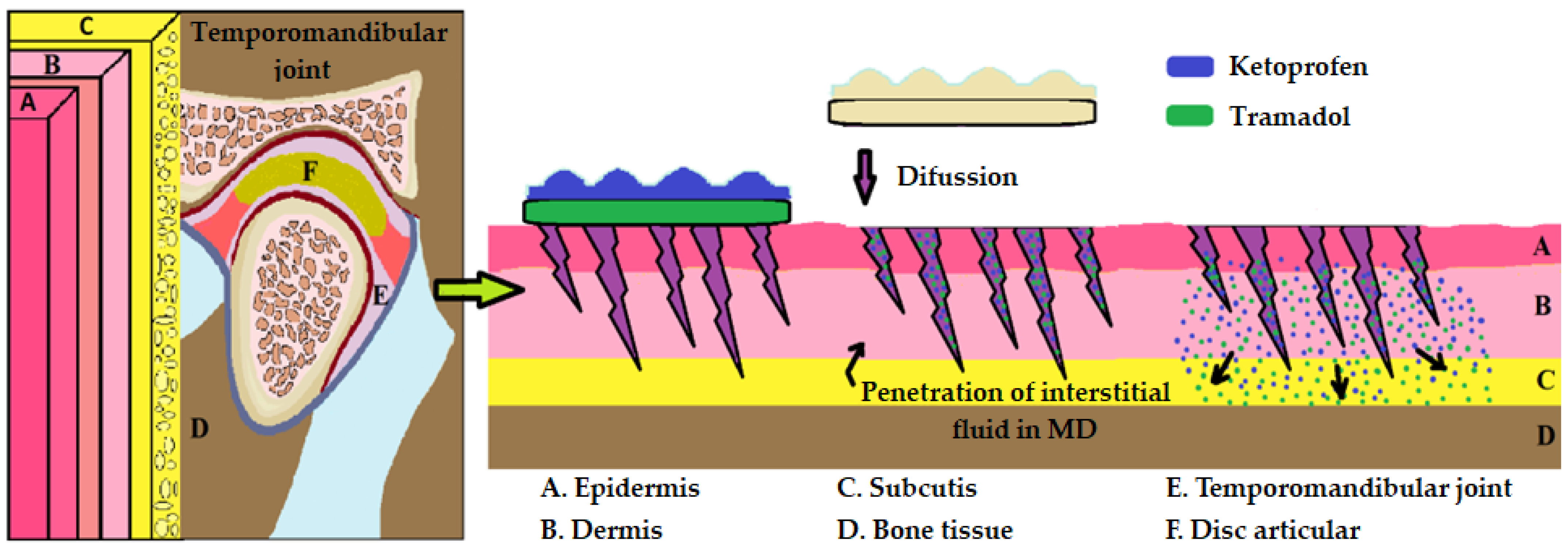 Pharmaceutics 16 00626 g003 Pharmaceutics 16 00626 g003
