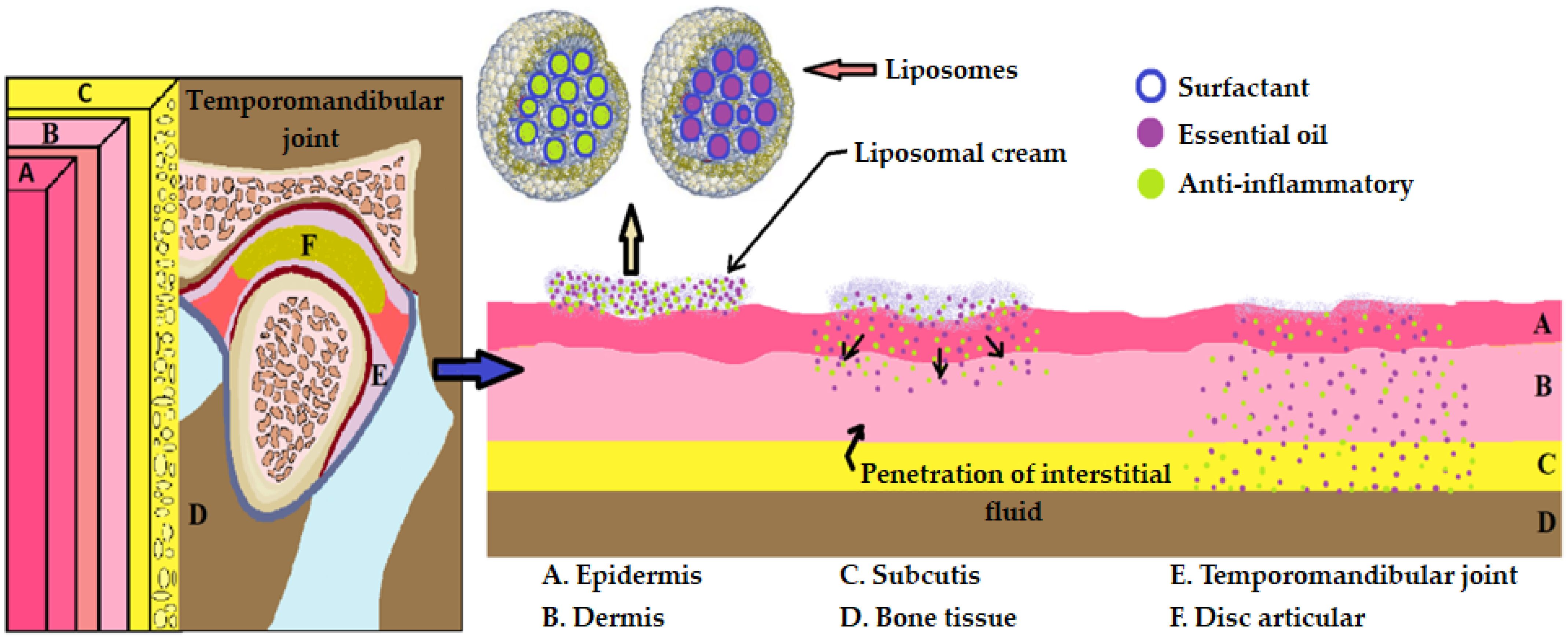 Pharmaceutics 16 00626 g004 Pharmaceutics 16 00626 g004