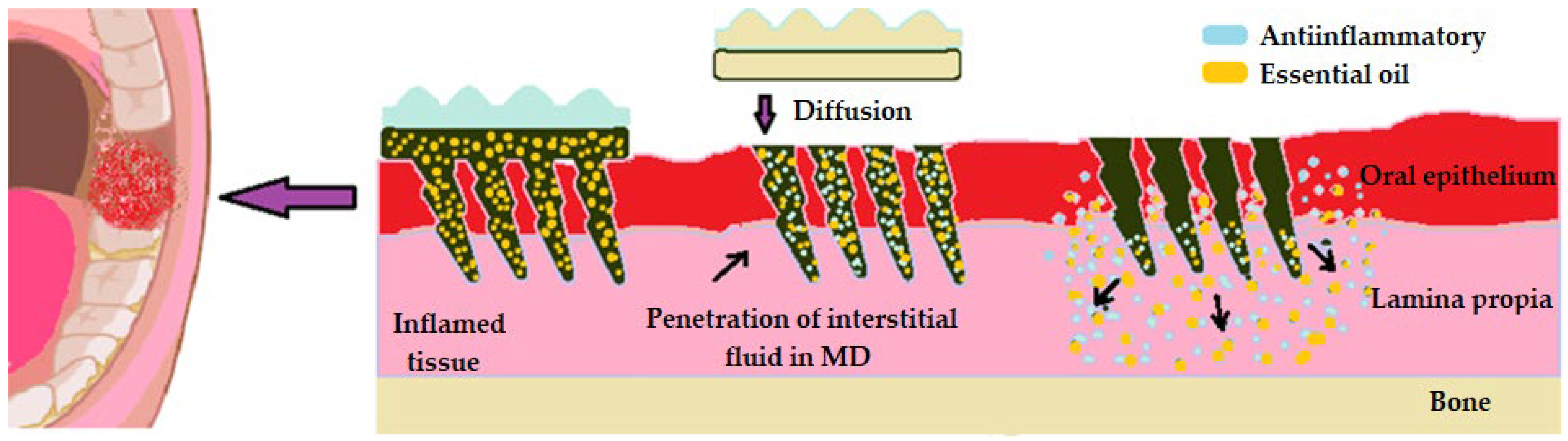 Pharmaceutics 16 00626 g007 Pharmaceutics 16 00626 g007