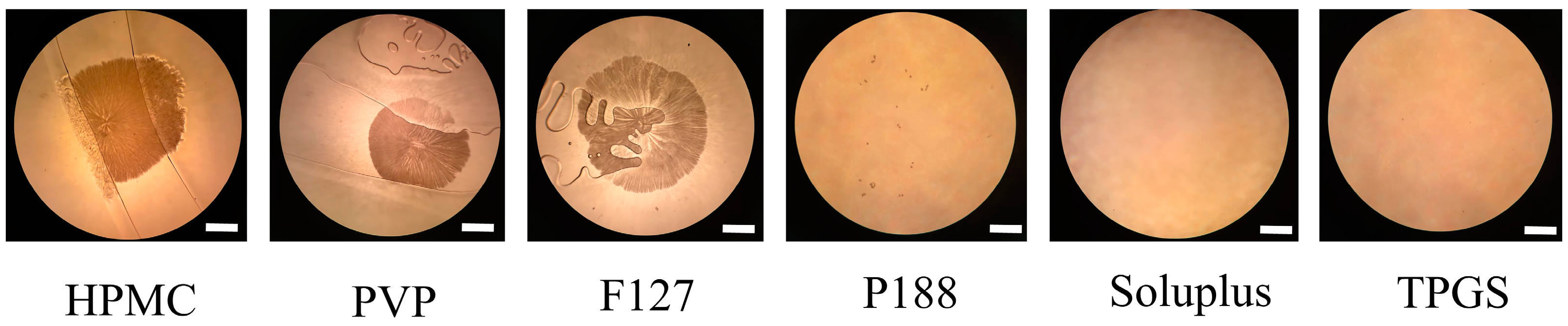 Pharmaceutics 16 00630 g001