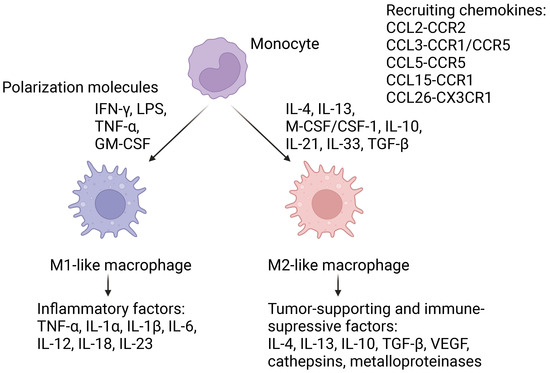 Reprogramming Tumor-Associated Macrophage Using Nanocarriers: New 