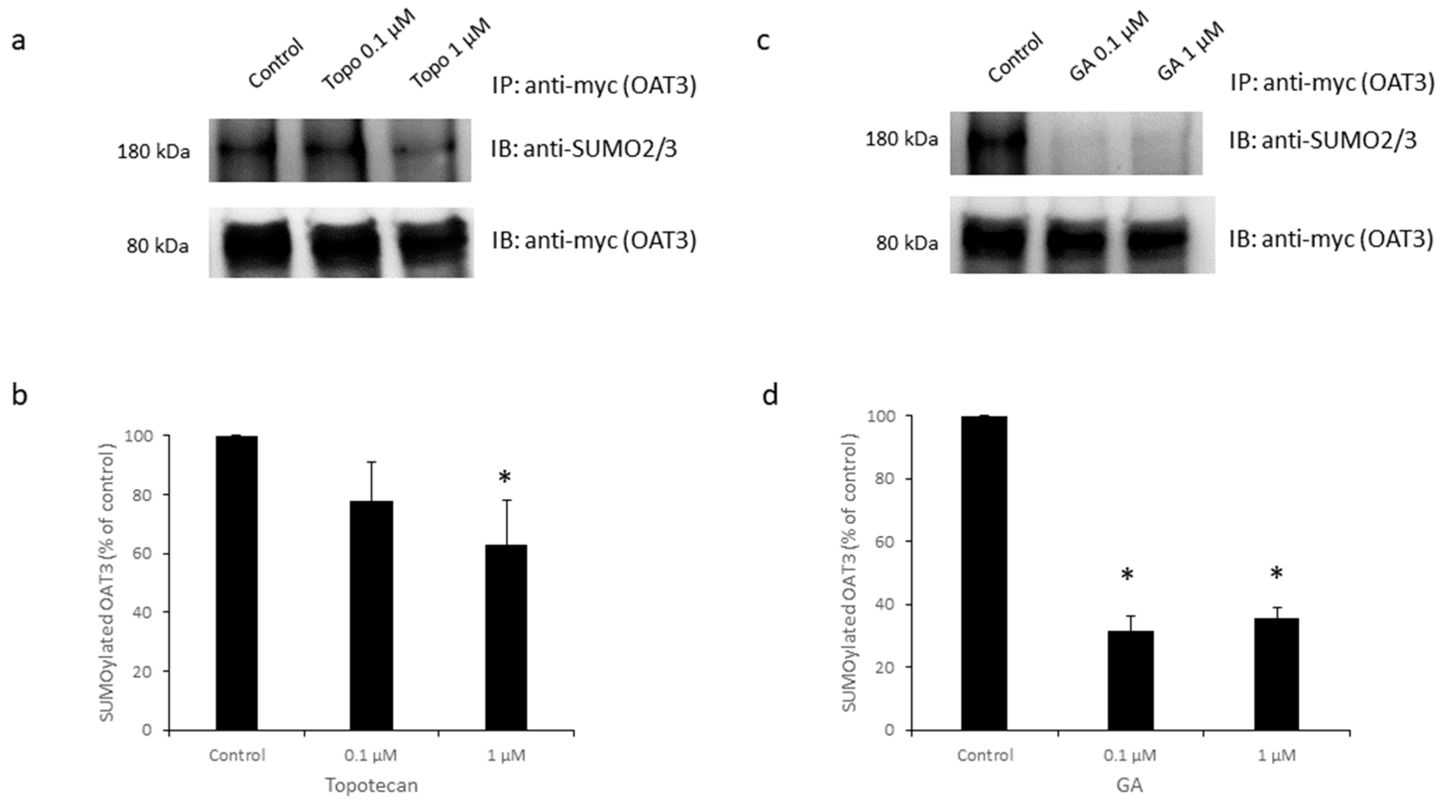 Pharmaceutics 16 00638 g001
