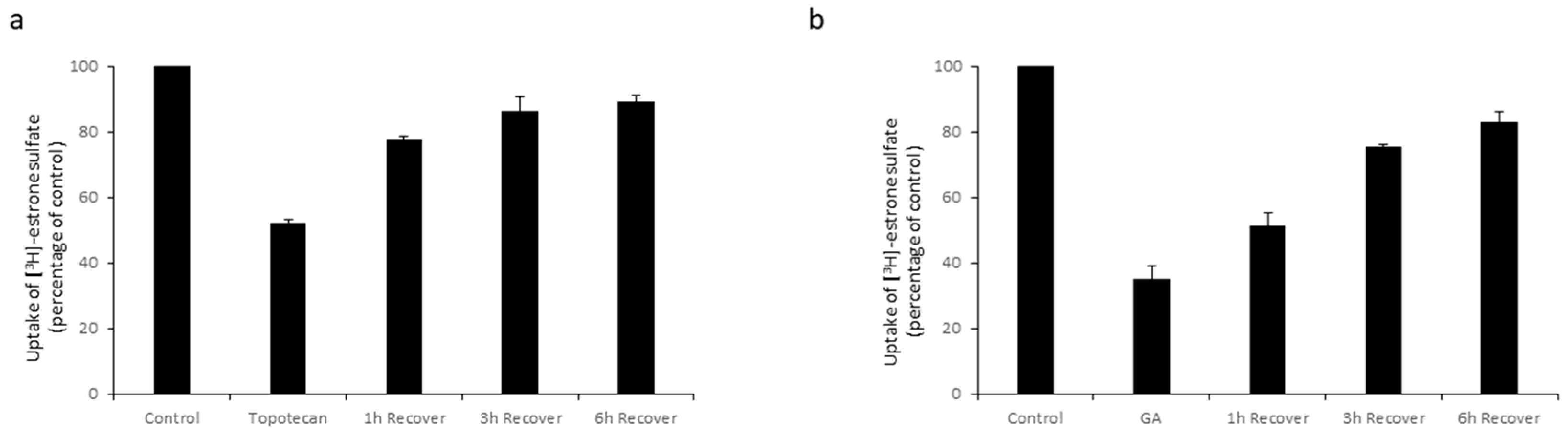 Pharmaceutics 16 00638 g004