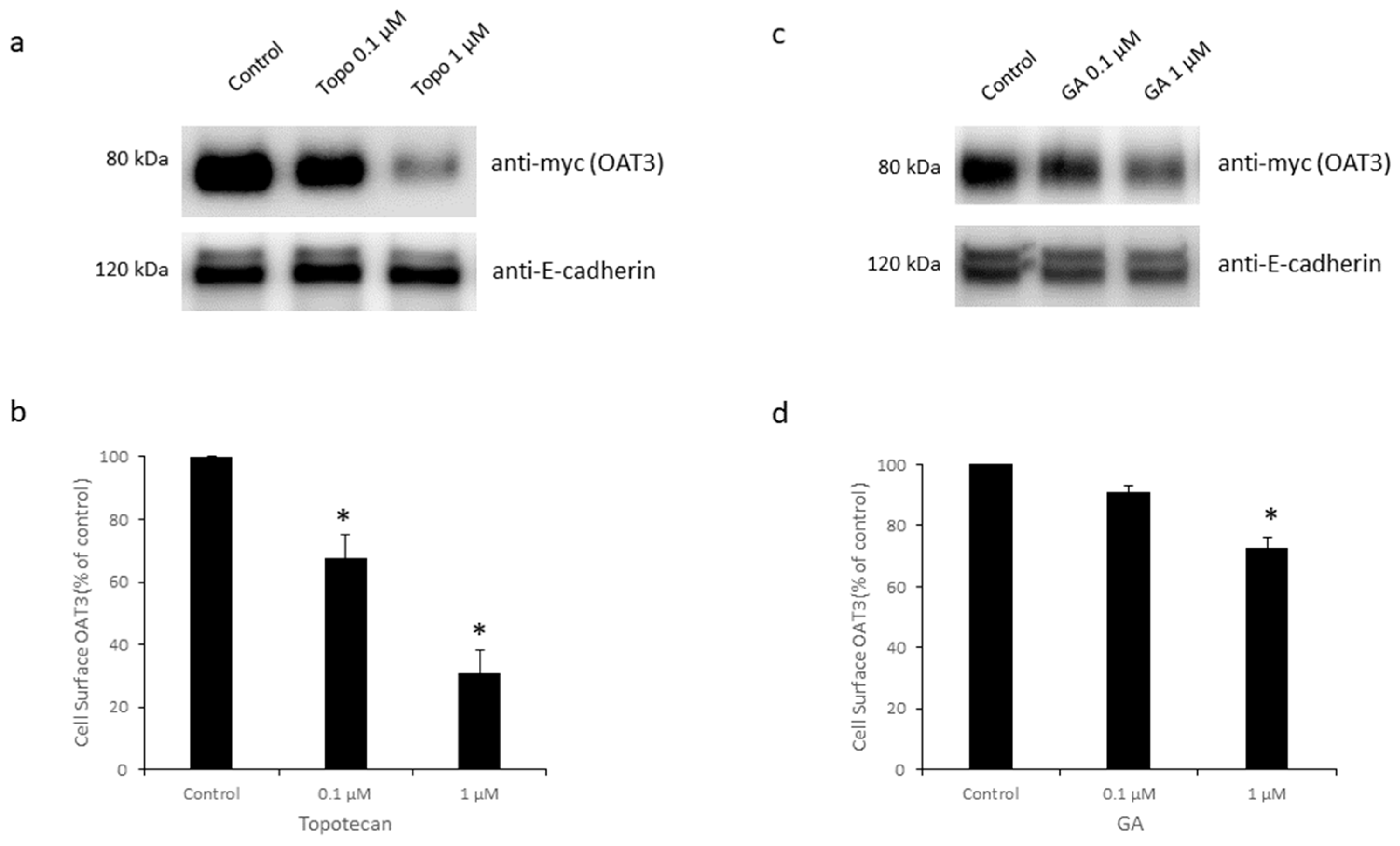 Pharmaceutics 16 00638 g005
