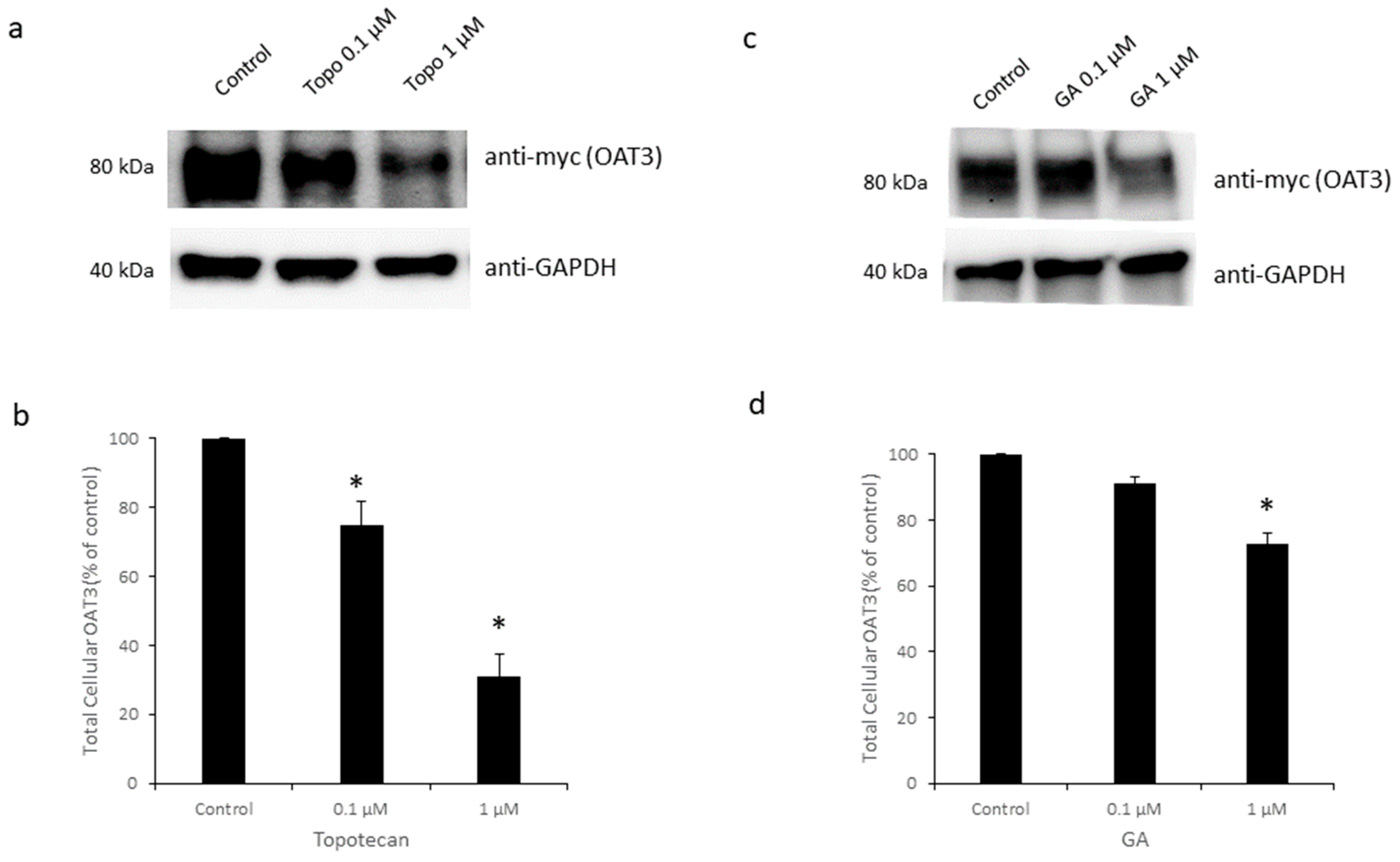 Pharmaceutics 16 00638 g006
