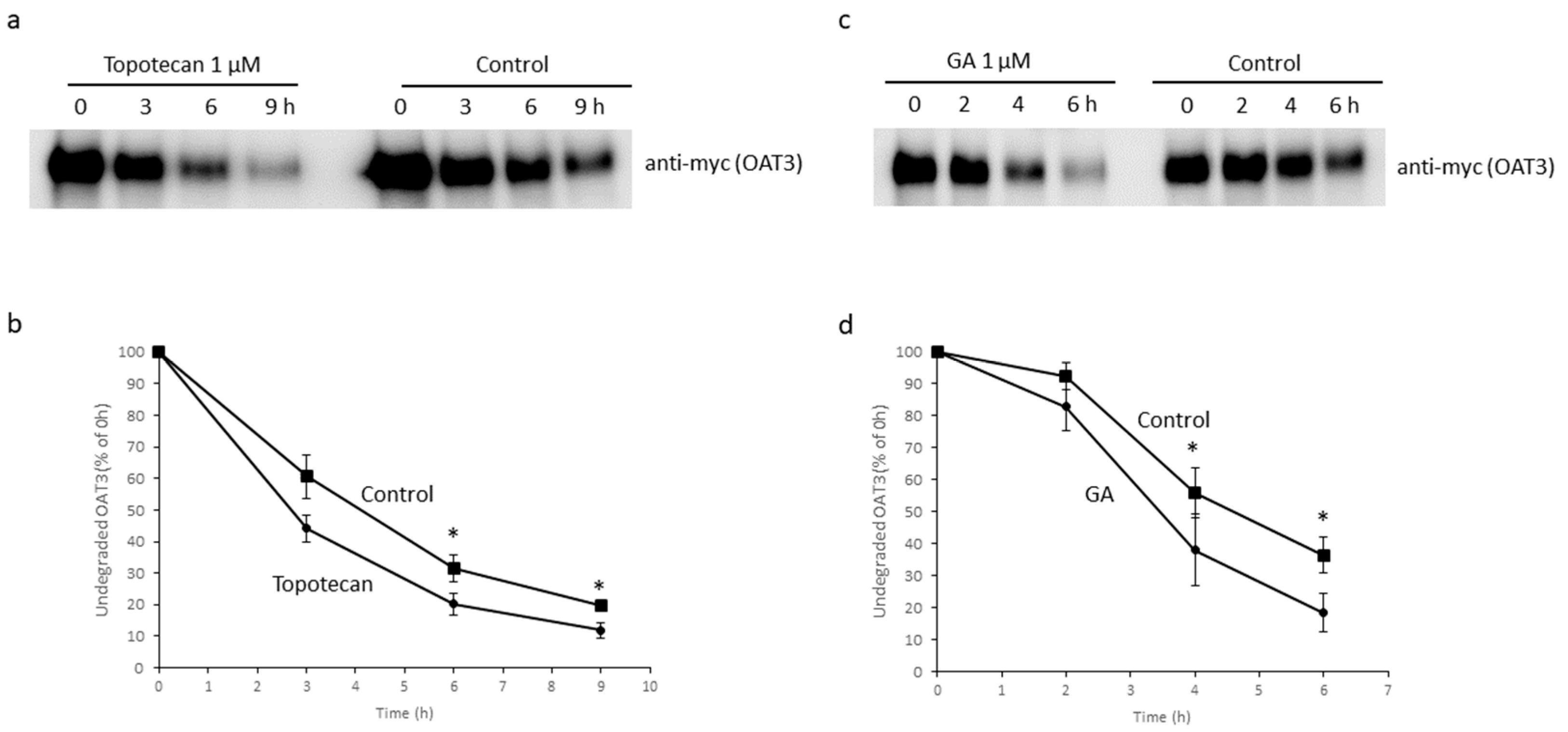 Pharmaceutics 16 00638 g007