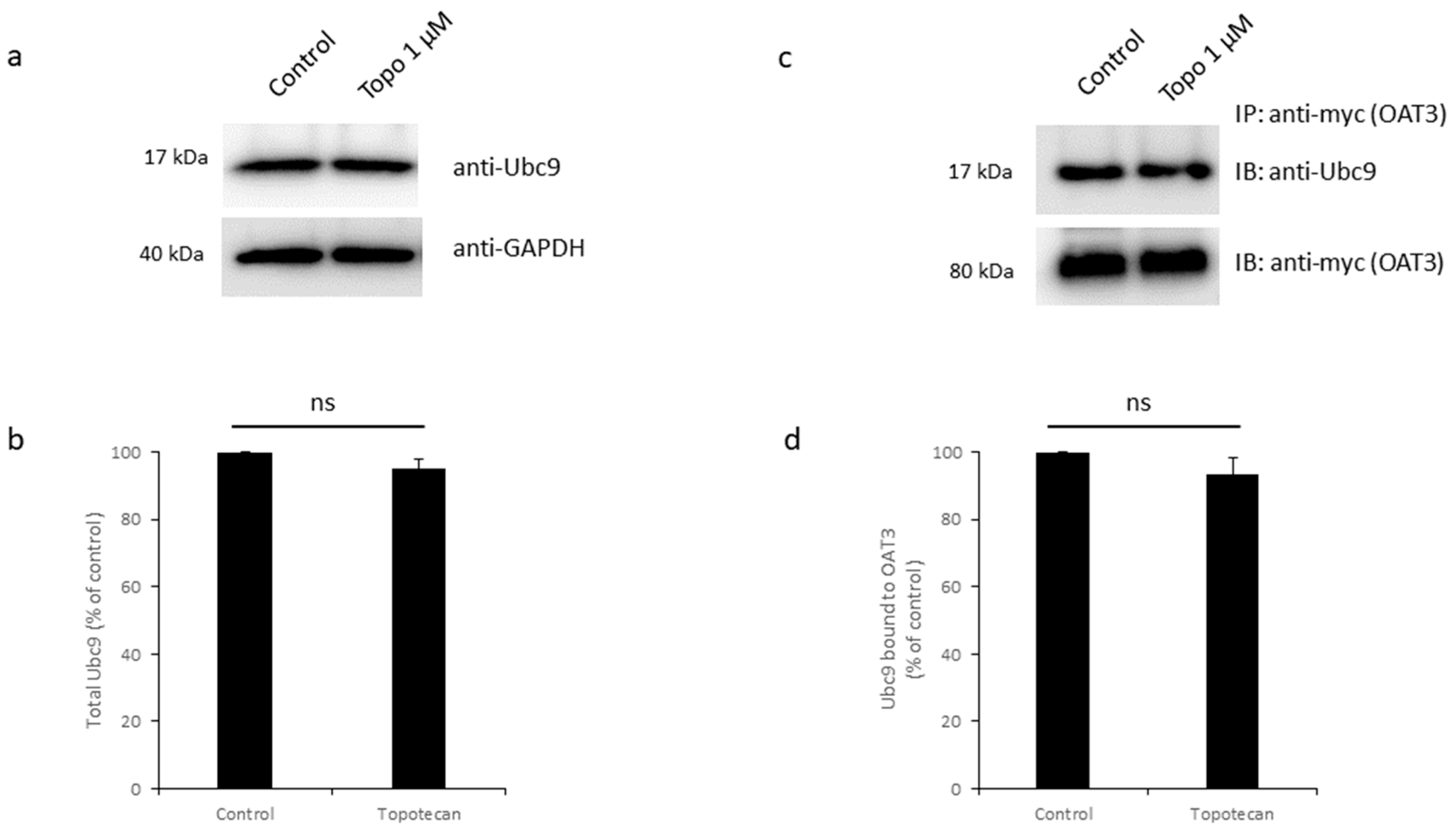 Pharmaceutics 16 00638 g008