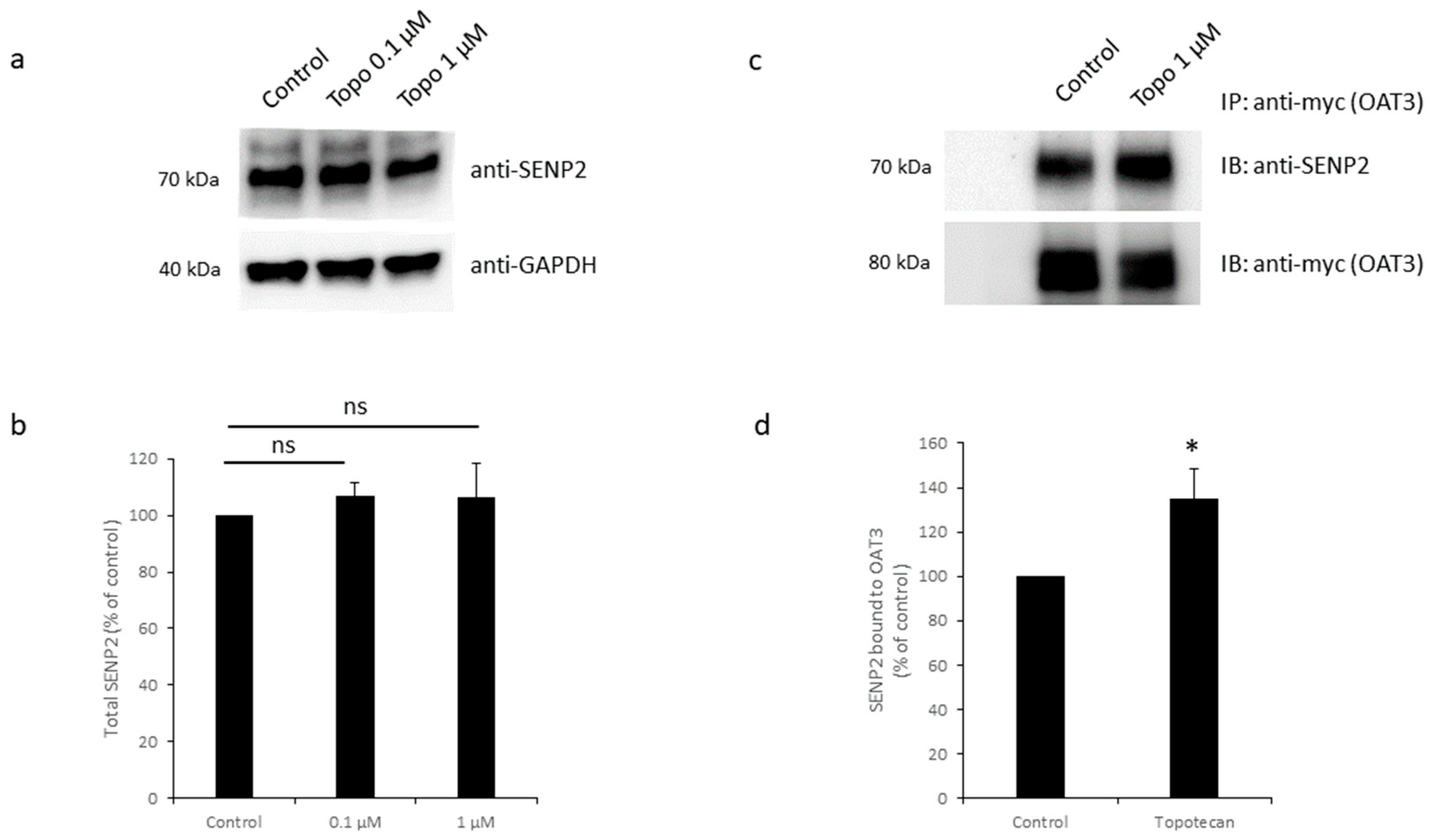 Pharmaceutics 16 00638 g009