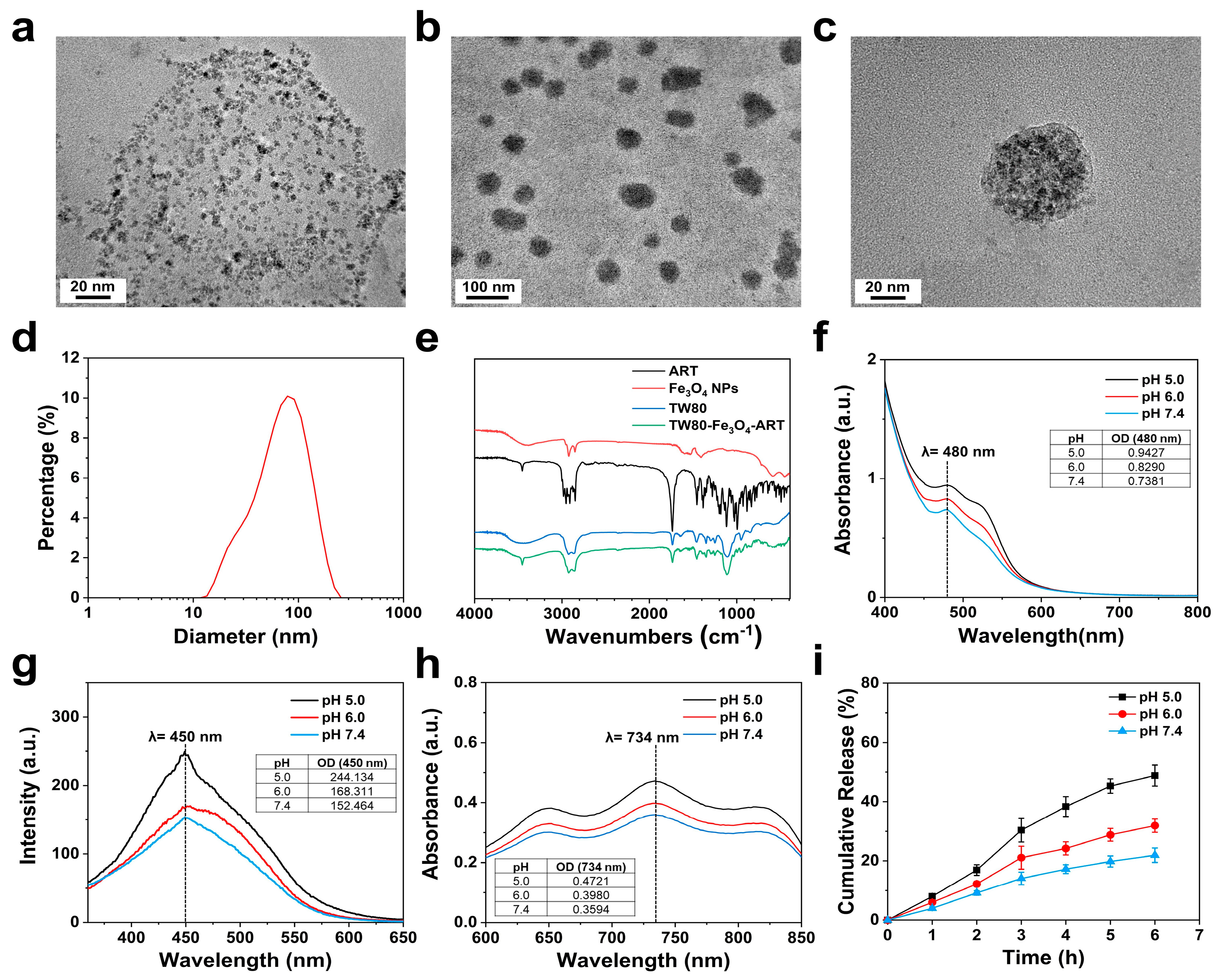 Pharmaceutics 16 00639 g001