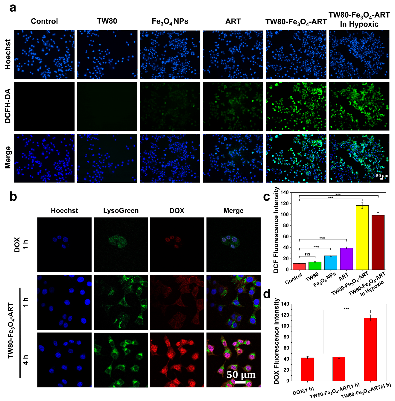 Pharmaceutics 16 00639 g002