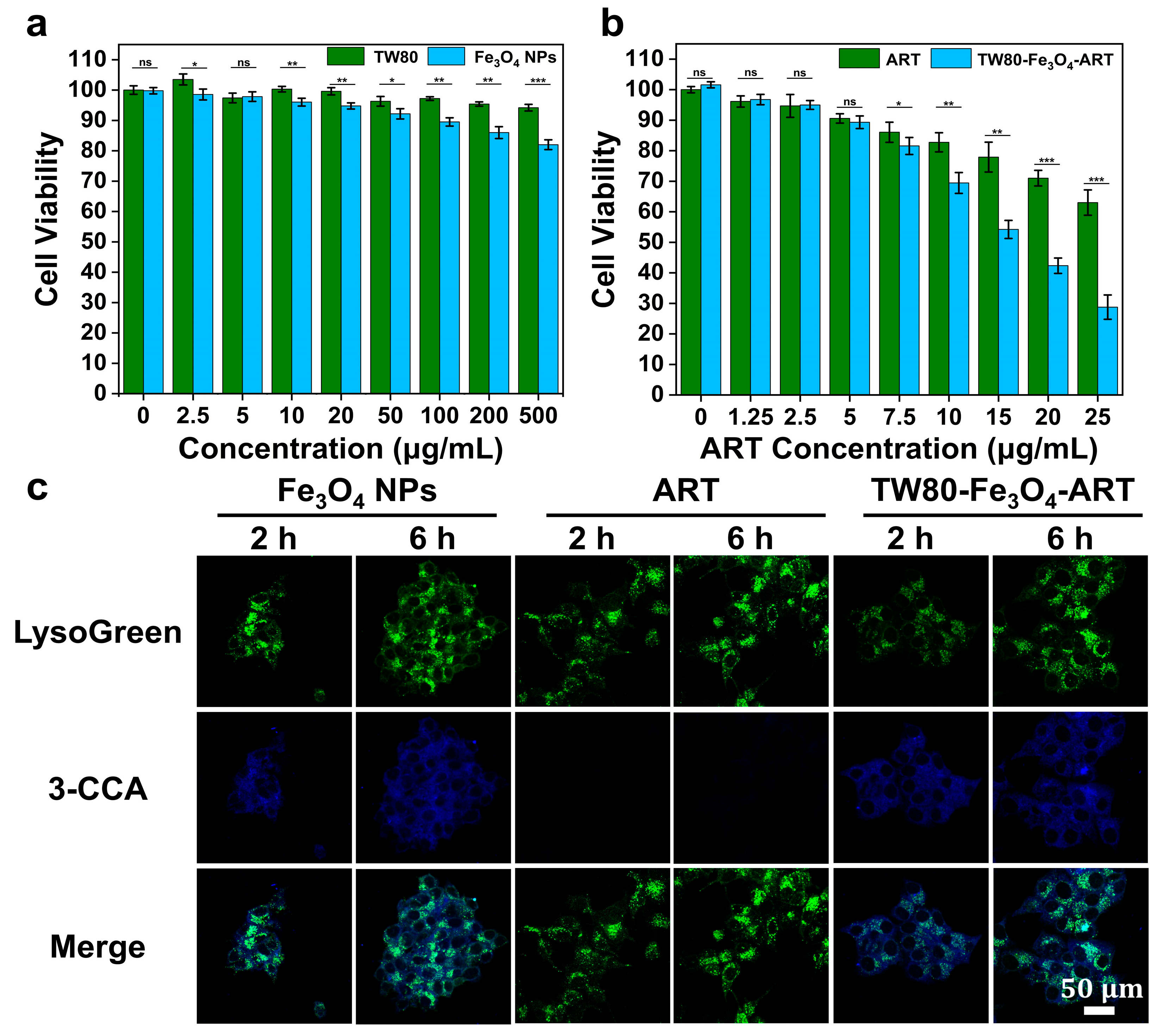 Pharmaceutics 16 00639 g003