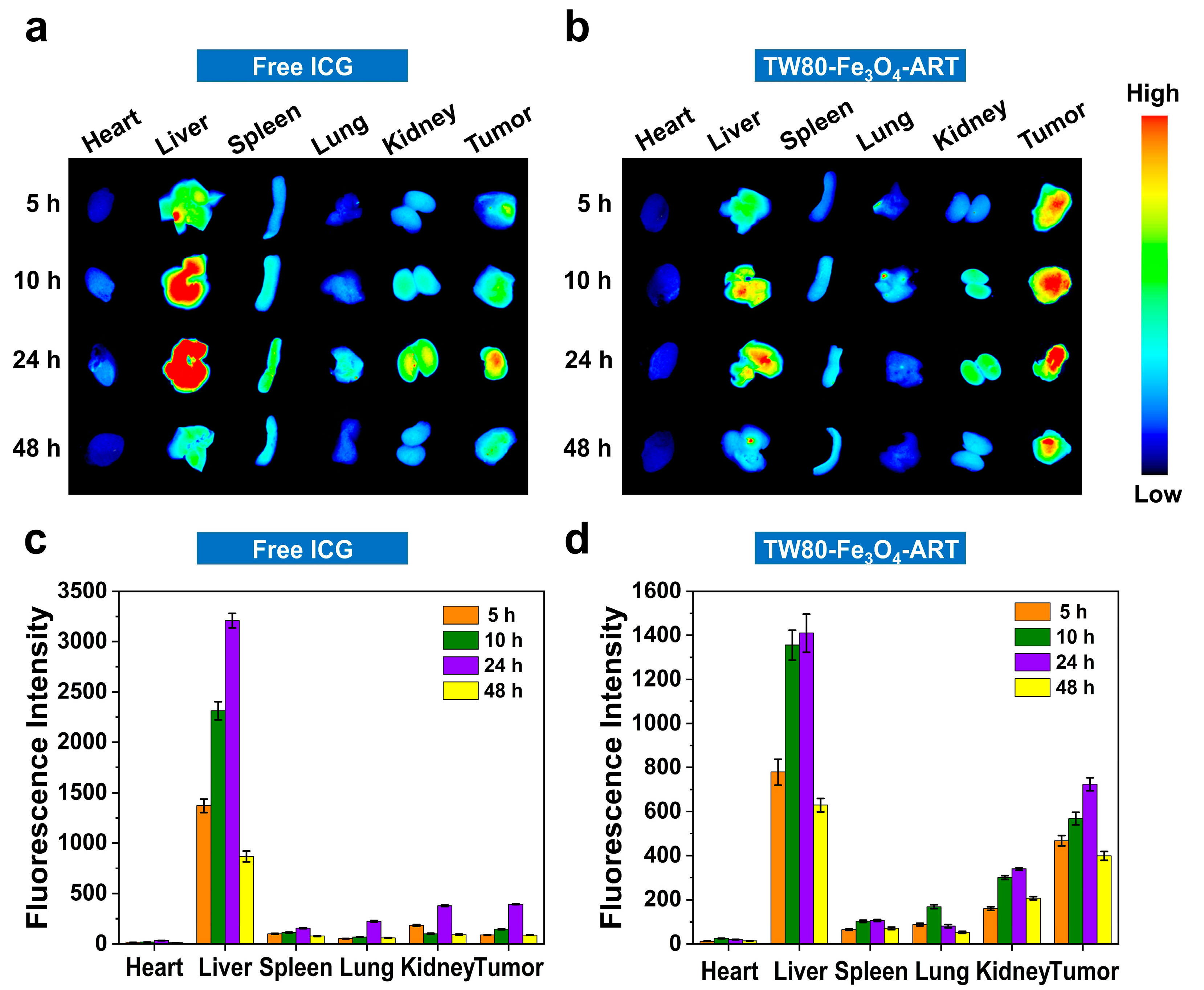 Pharmaceutics 16 00639 g004