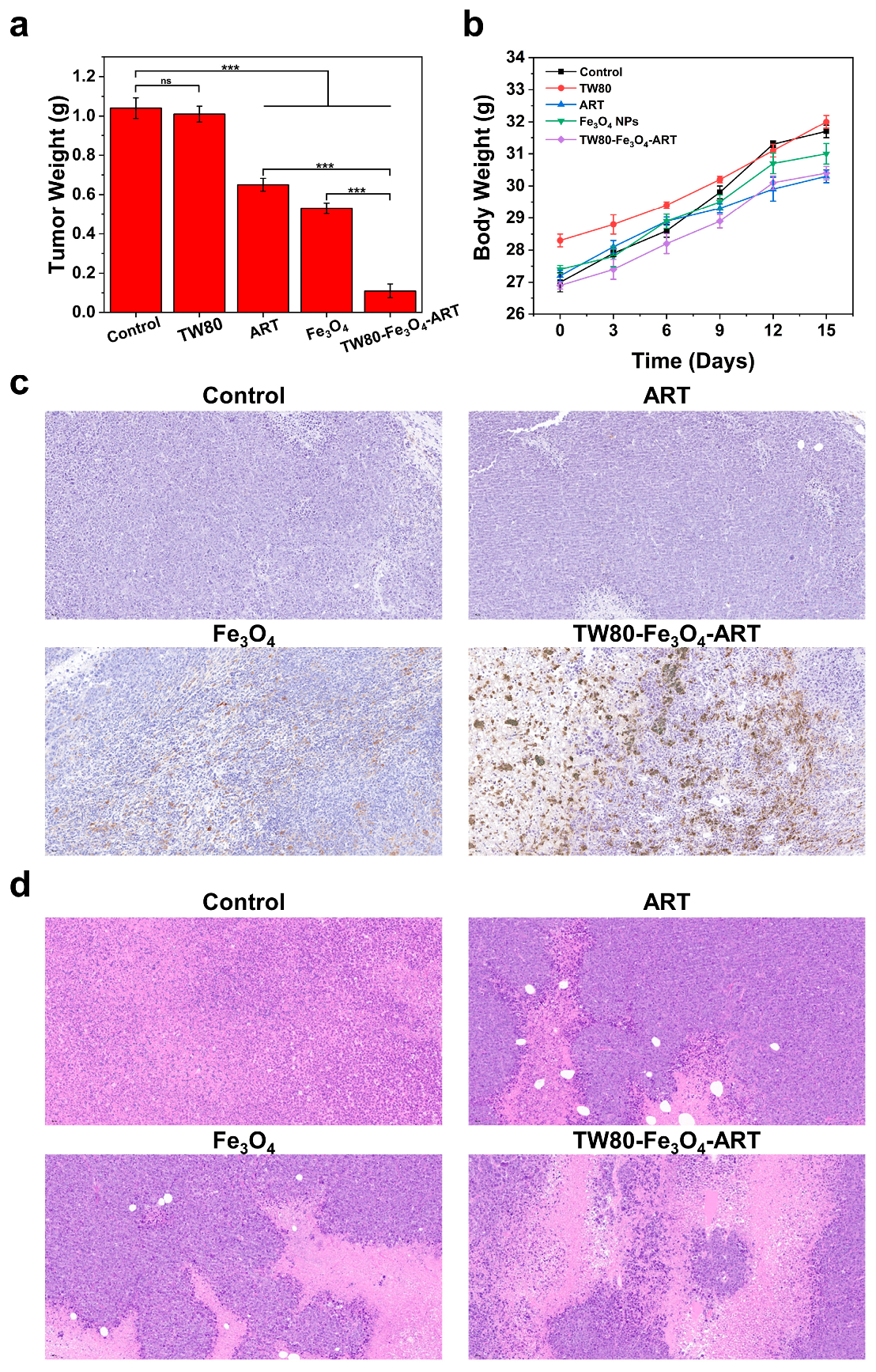 Pharmaceutics 16 00639 g005