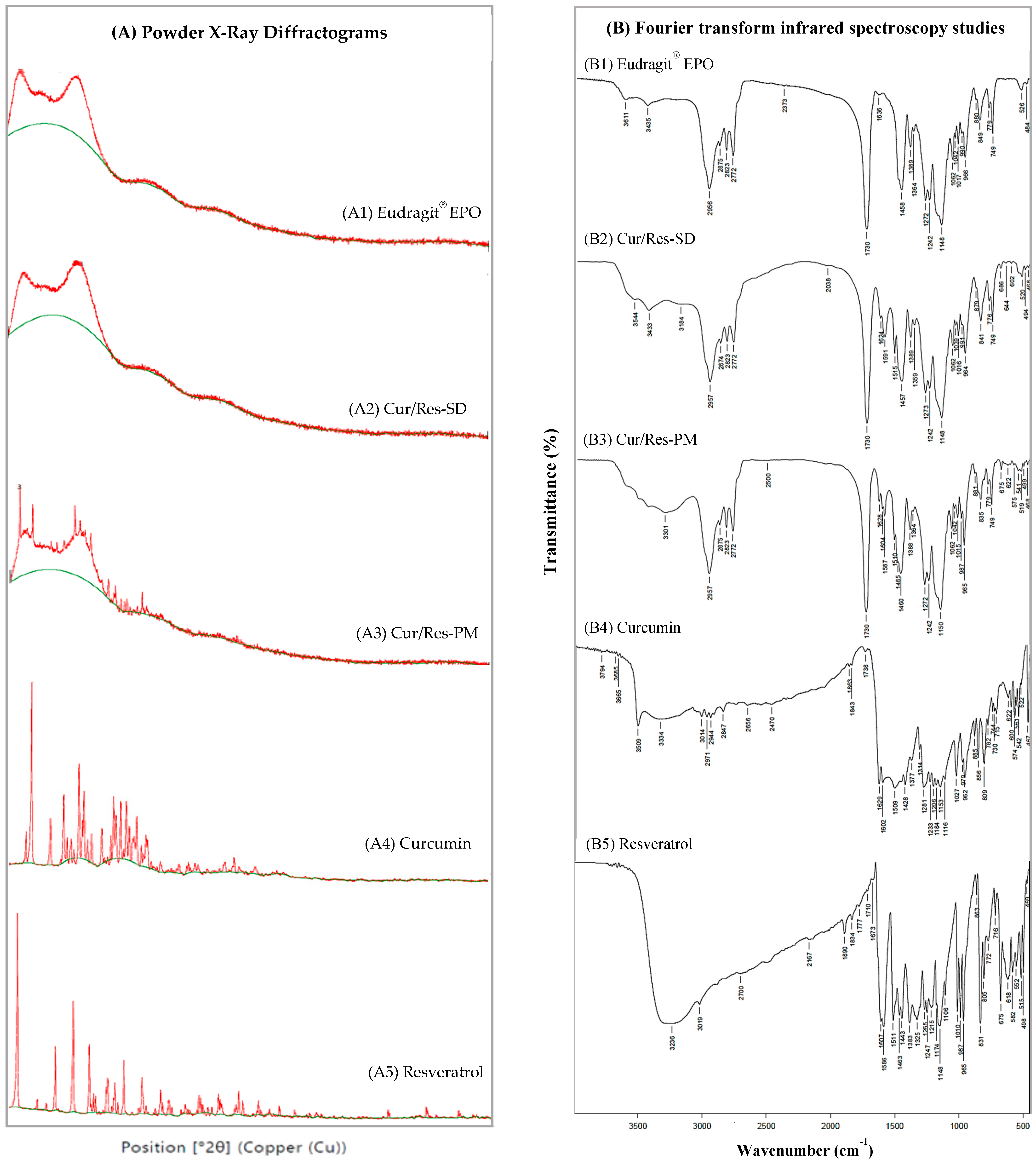 Pharmaceutics 16 00641 g002