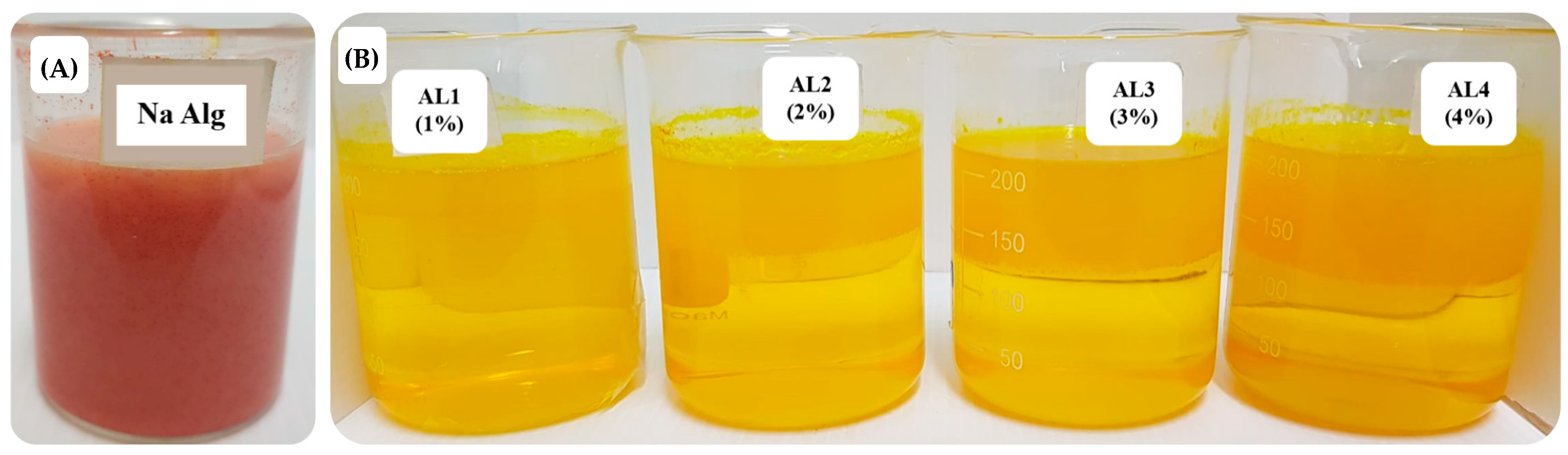 Pharmaceutics 16 00641 g003