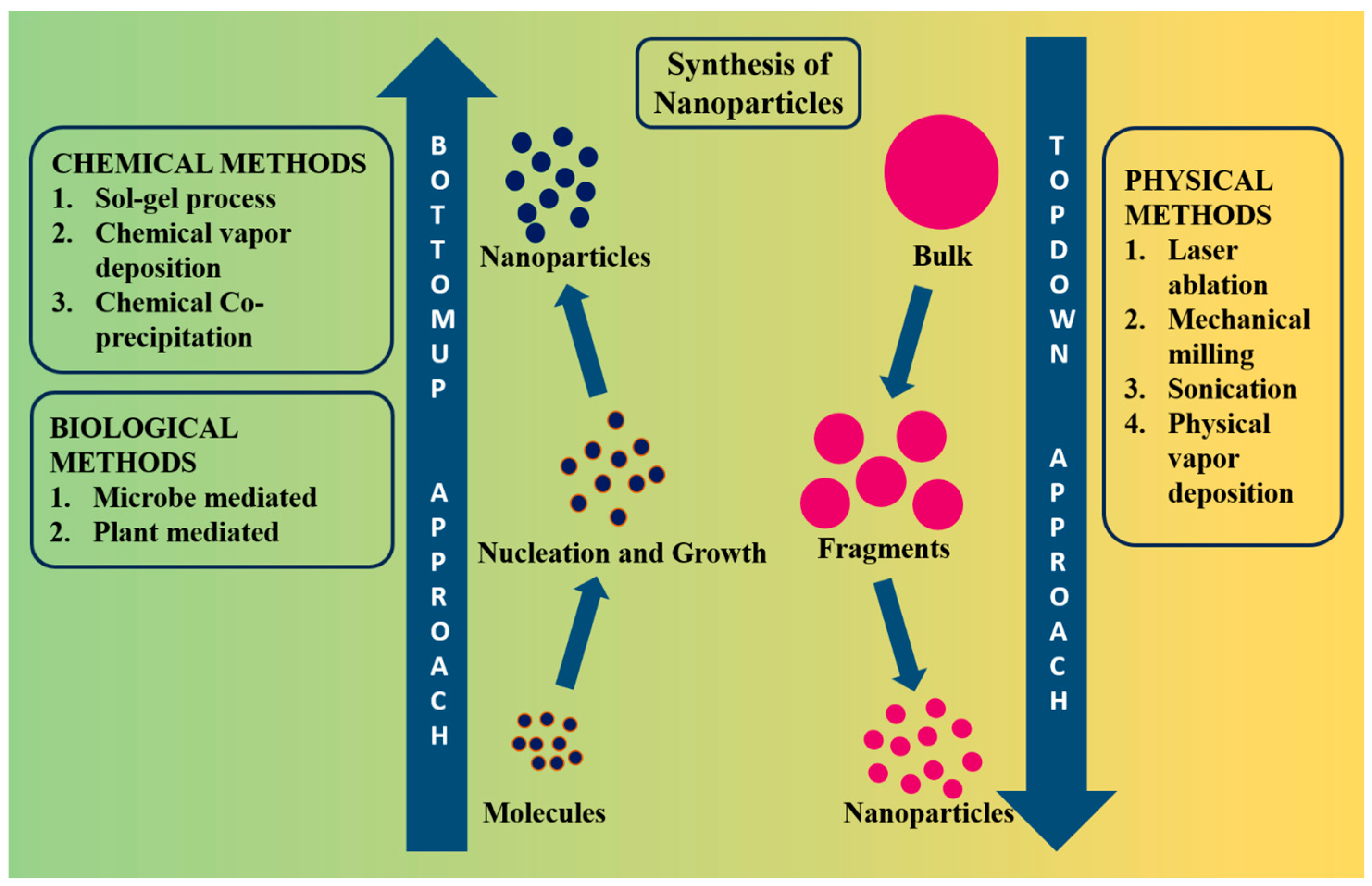 Pharmaceutics 16 00645 g003