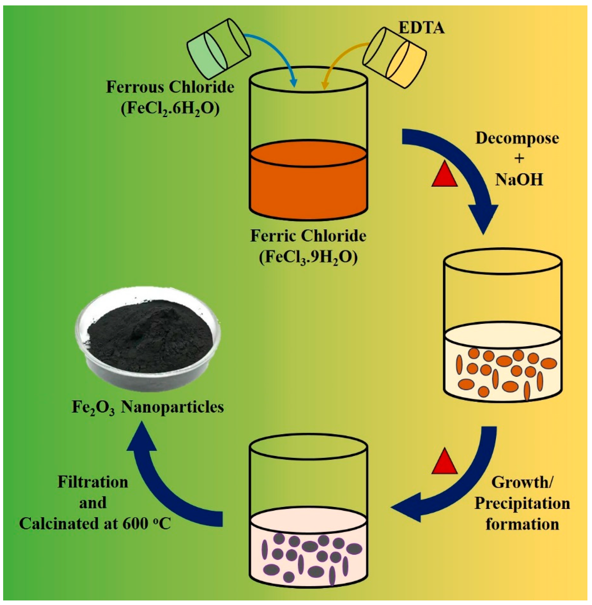 Pharmaceutics 16 00645 g004