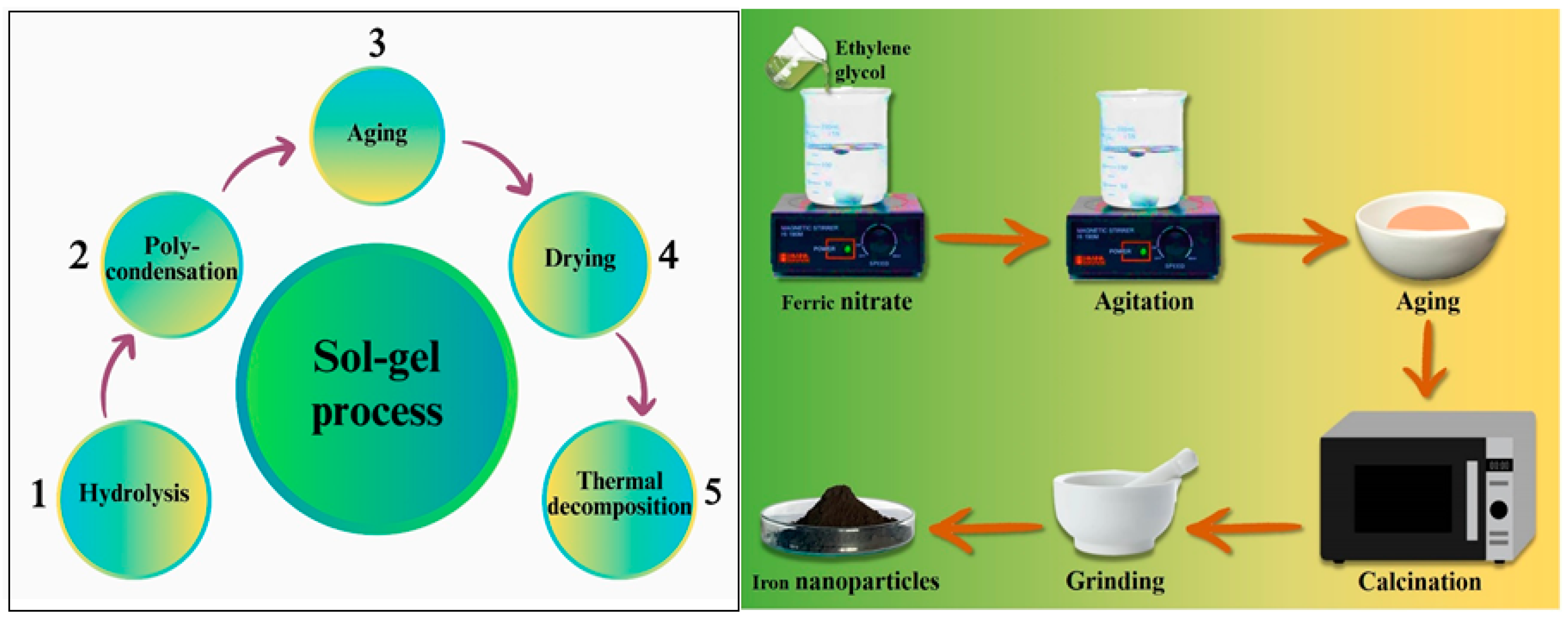 Pharmaceutics 16 00645 g005