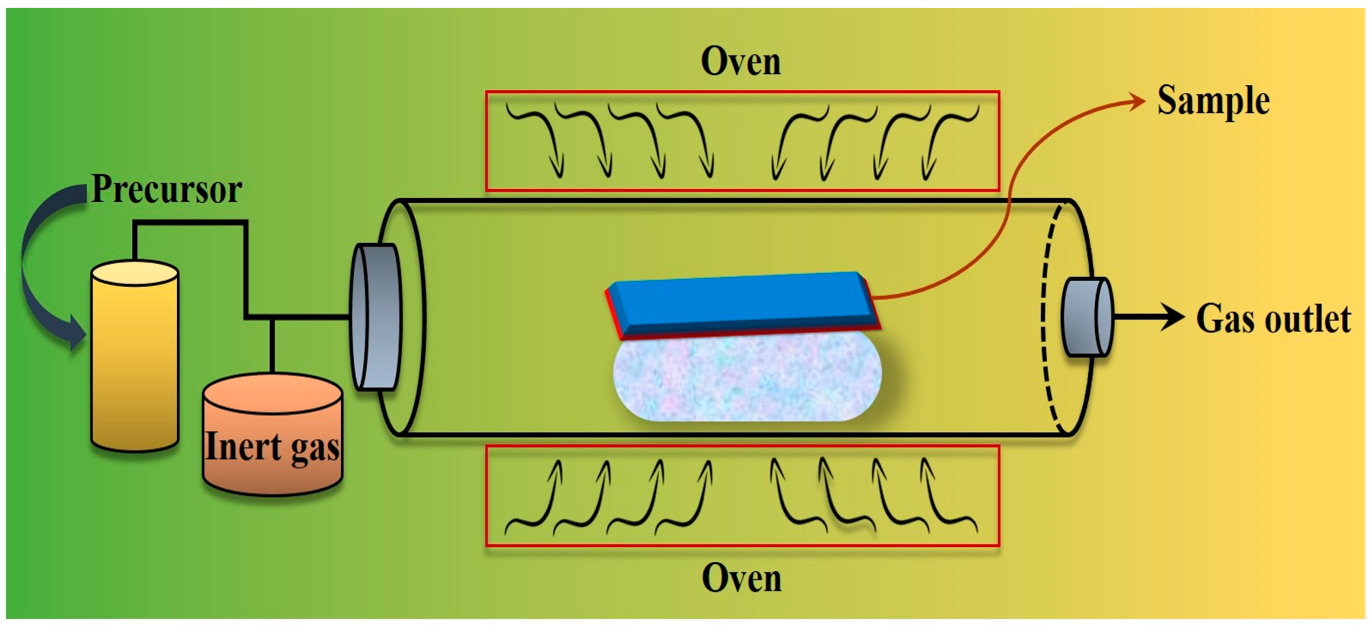Pharmaceutics 16 00645 g006