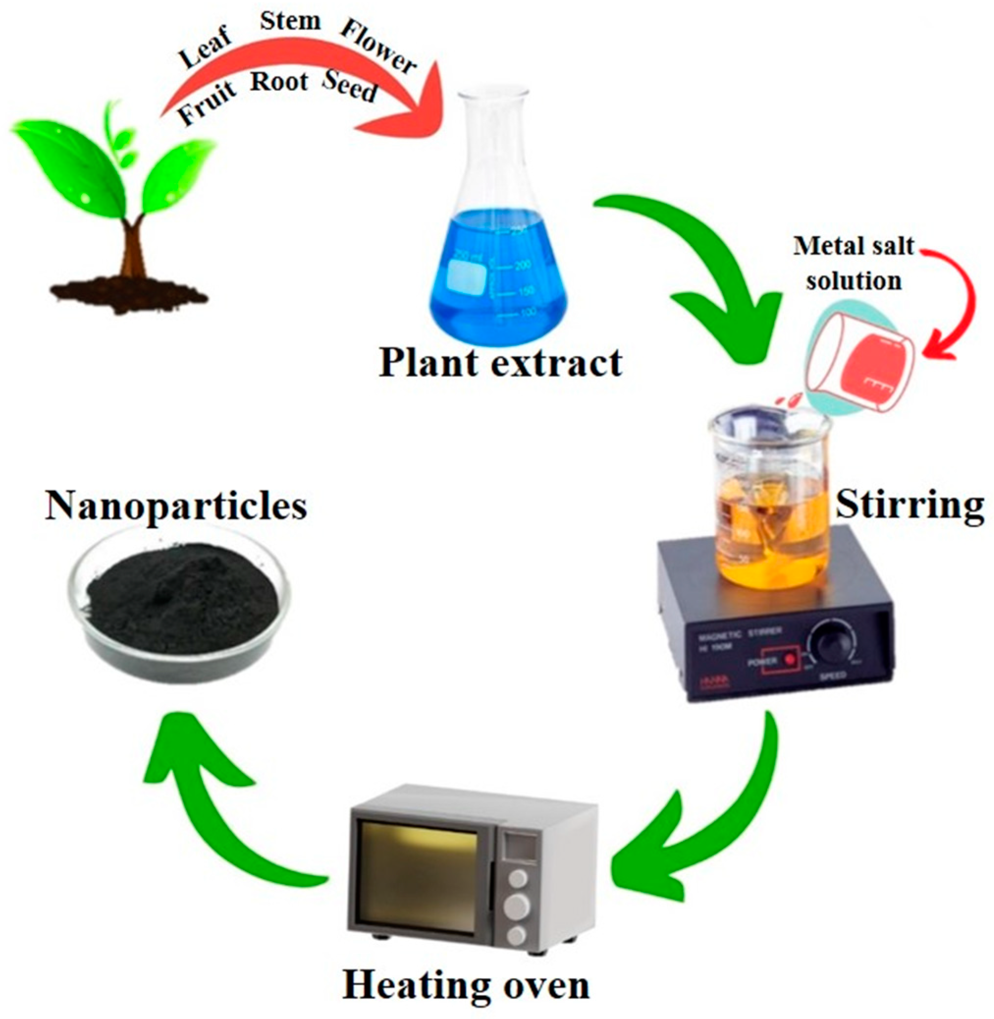 Pharmaceutics 16 00645 g010