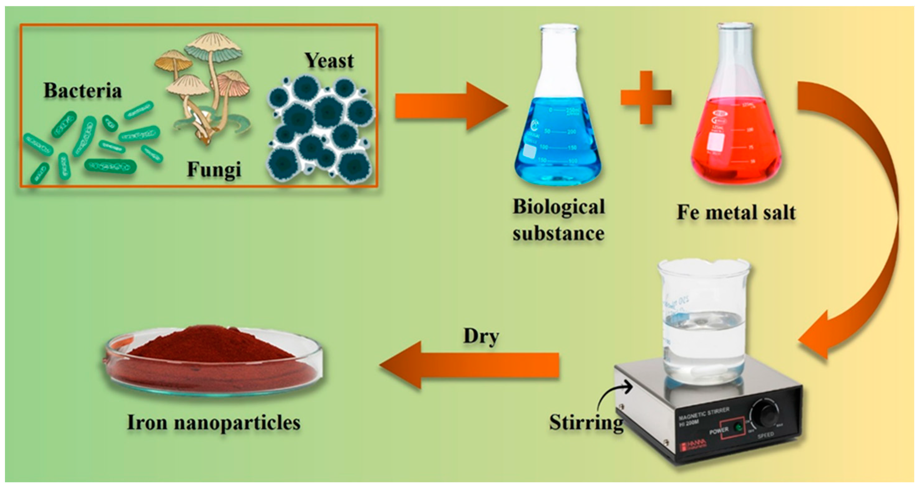 Pharmaceutics 16 00645 g011