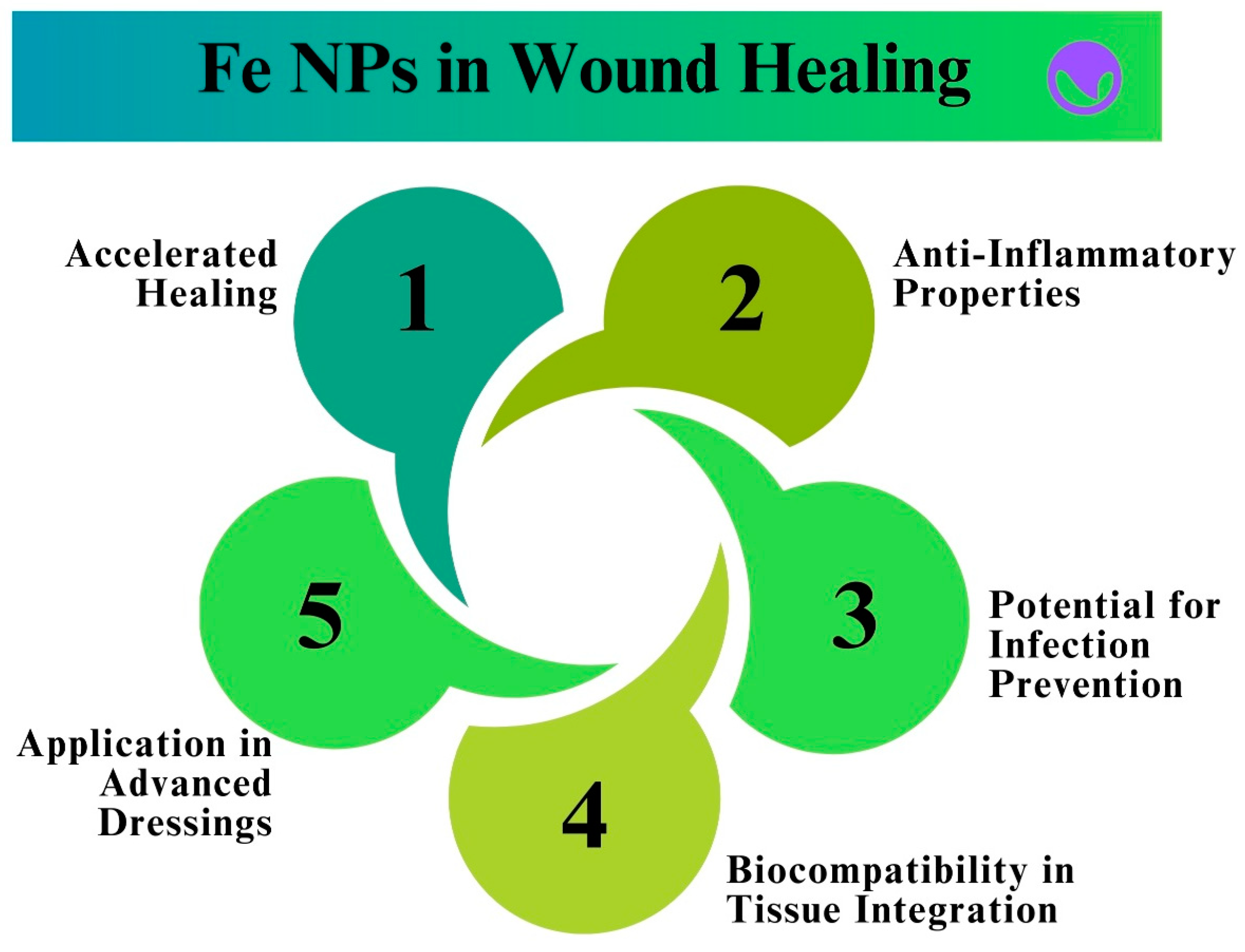 Pharmaceutics 16 00645 g019