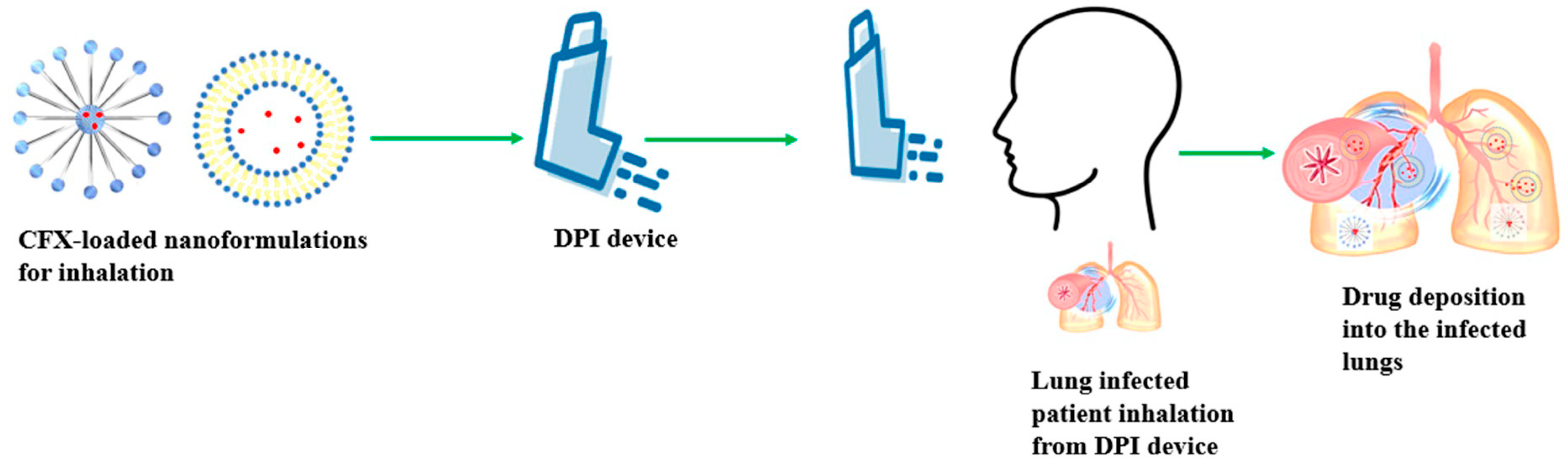 Pharmaceutics 16 00648 g001