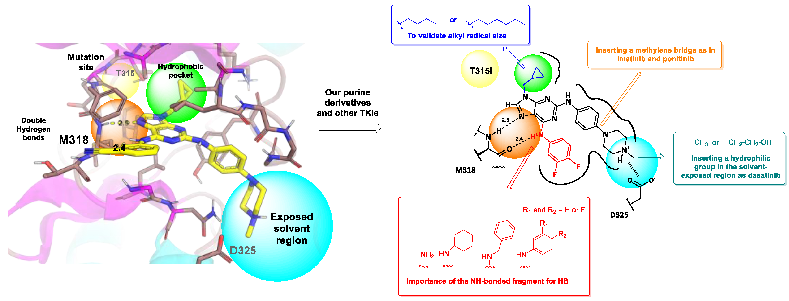 Pharmaceutics 16 00649 g003