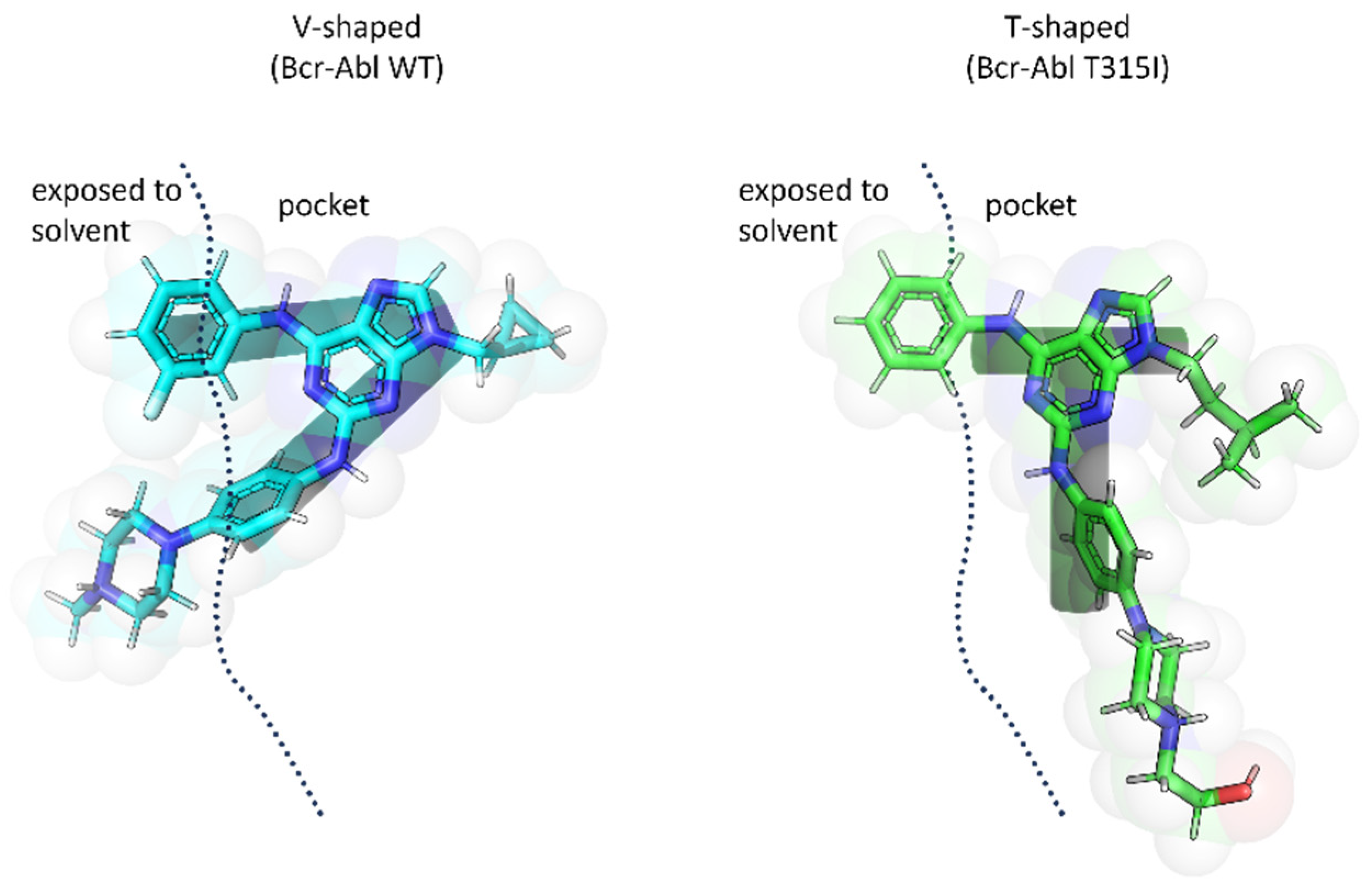 Pharmaceutics 16 00649 g006