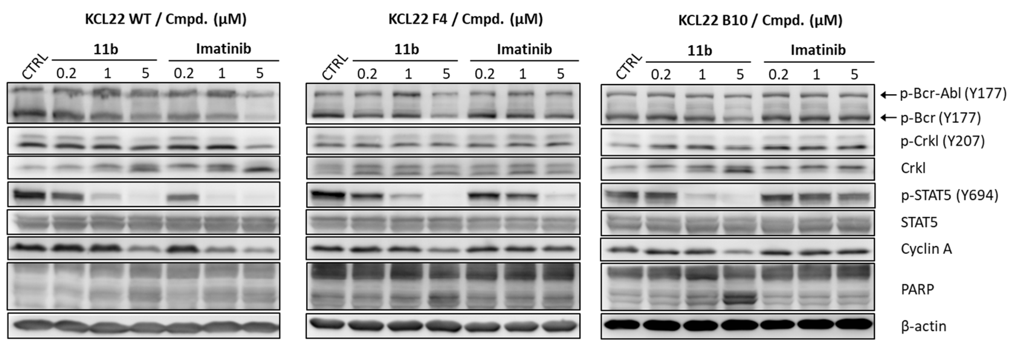 Pharmaceutics 16 00649 g008