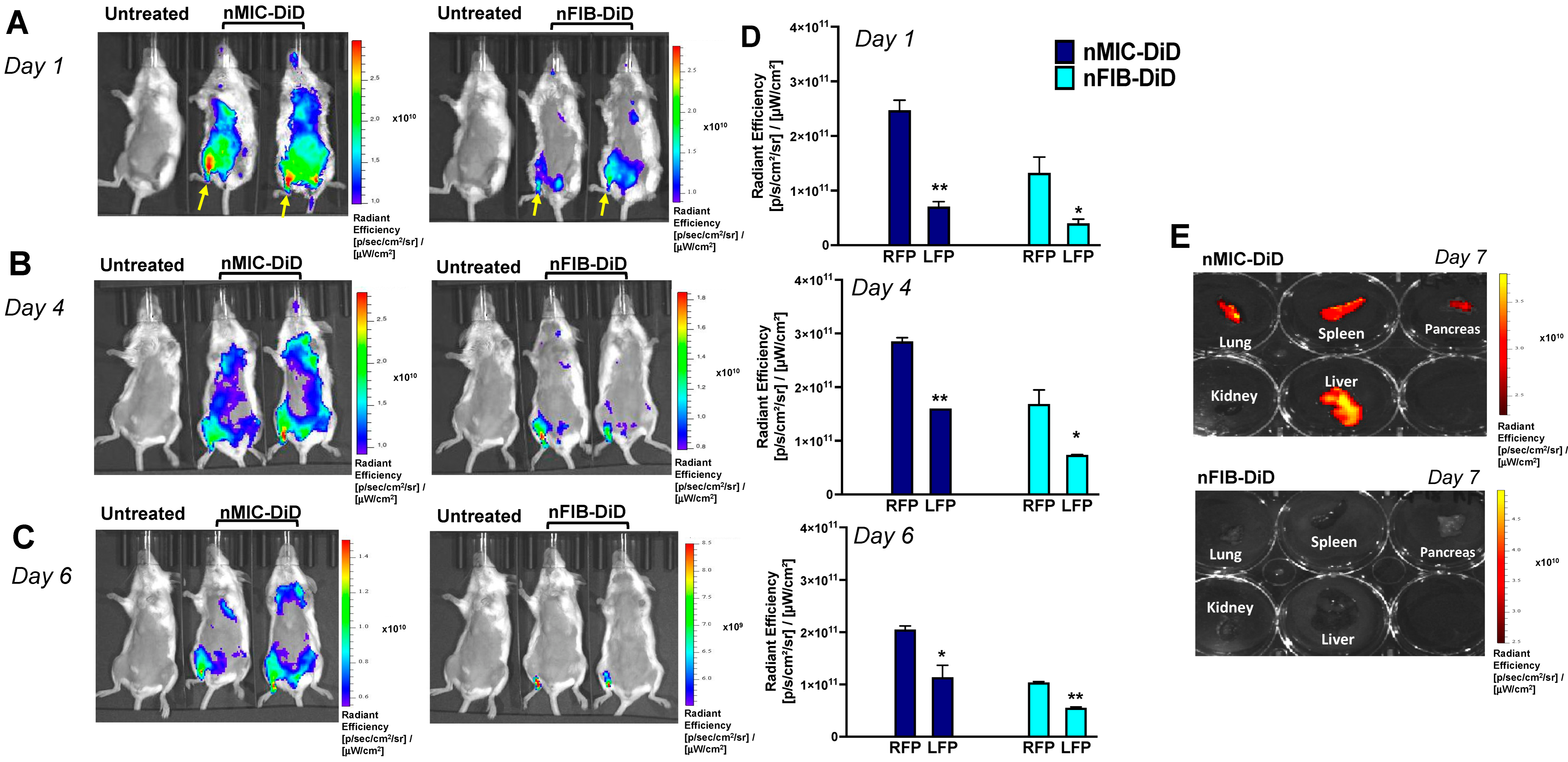Pharmaceutics 16 00652 g002