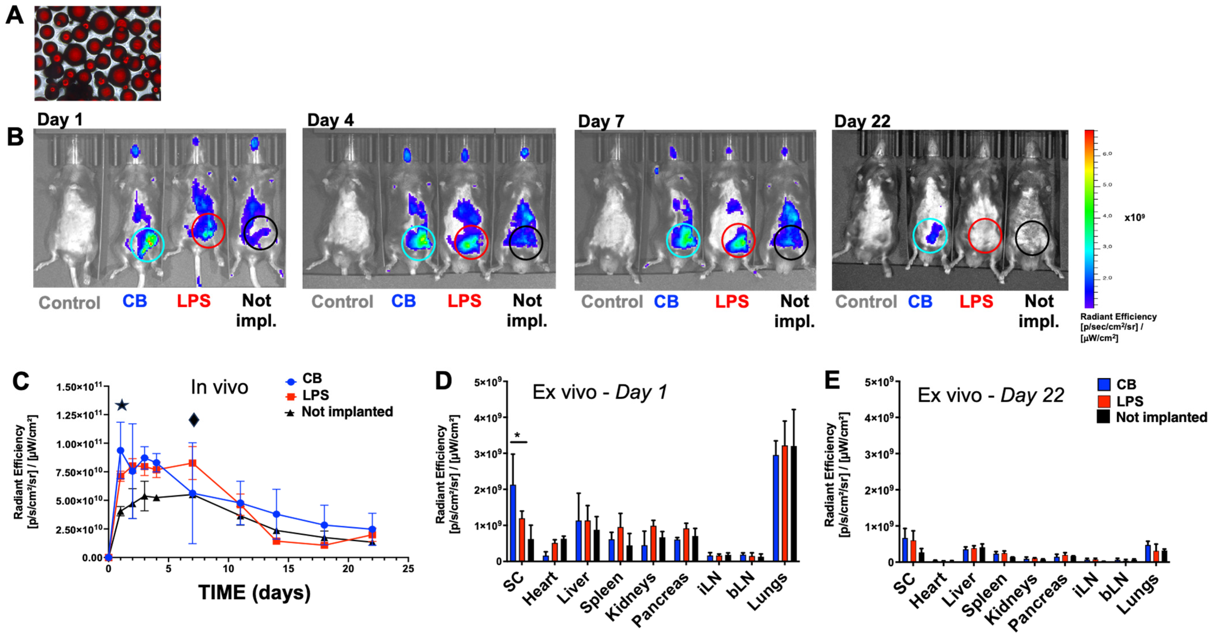 Pharmaceutics 16 00652 g003