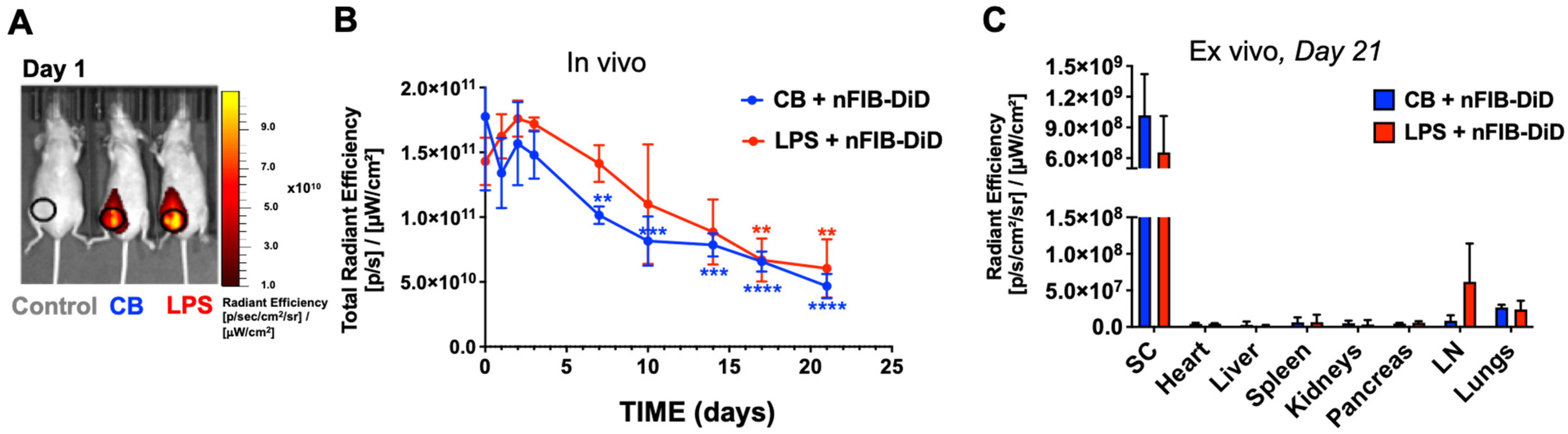Pharmaceutics 16 00652 g005