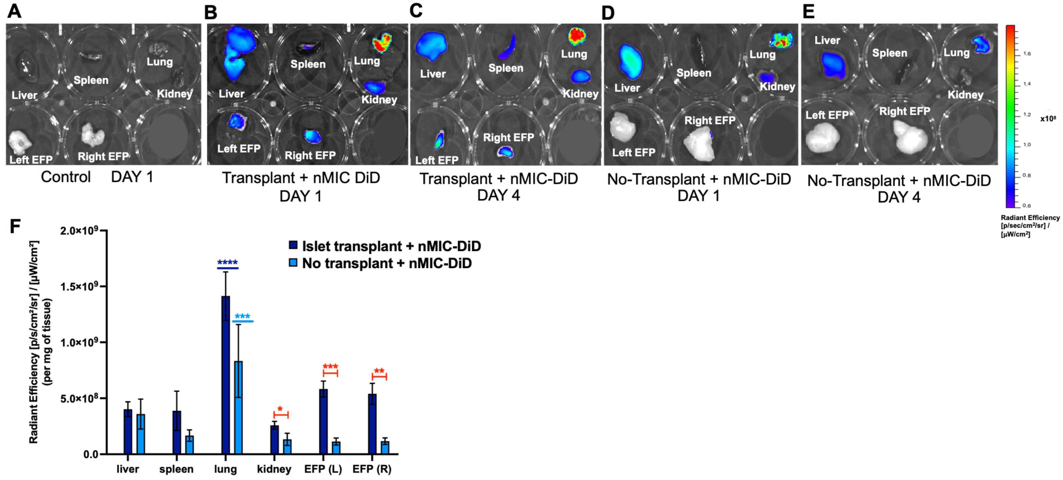 Pharmaceutics 16 00652 g008