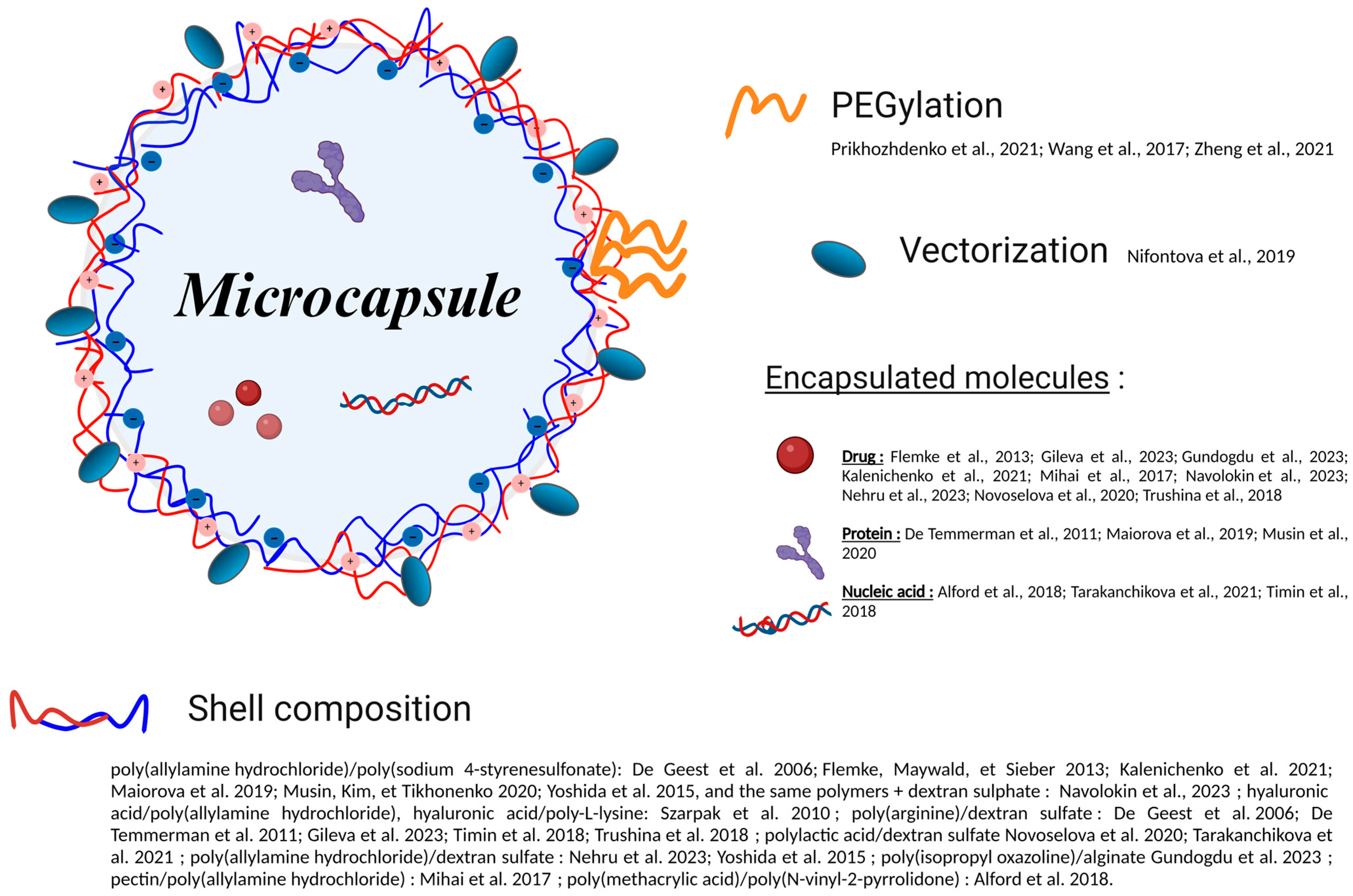Pharmaceutics 16 00653 g005