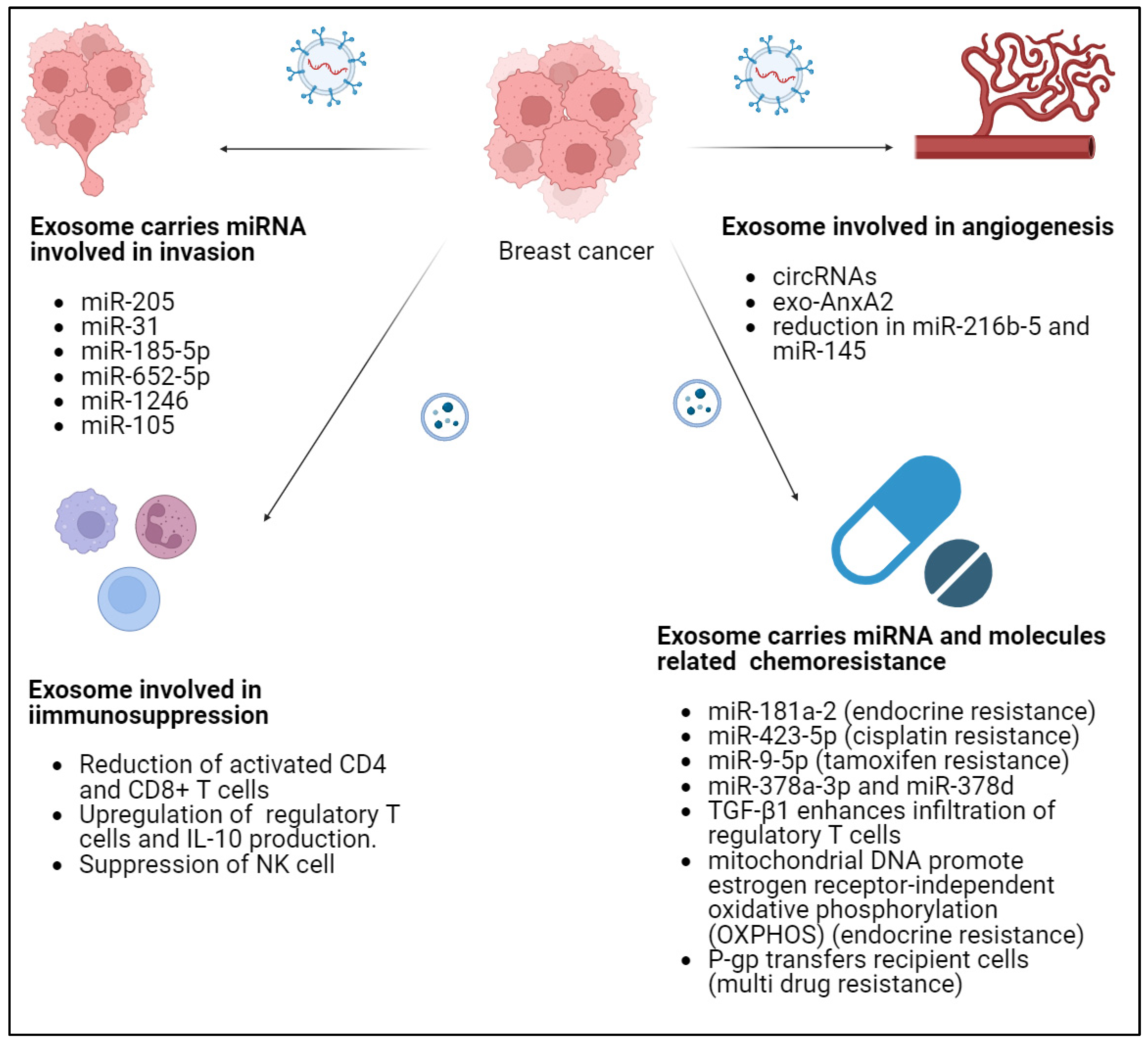 Pharmaceutics 16 00654 g001