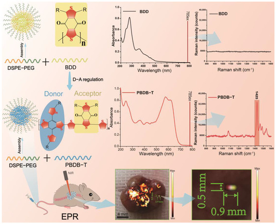 A Visual Raman Nano−Delivery System Based on Thiophene