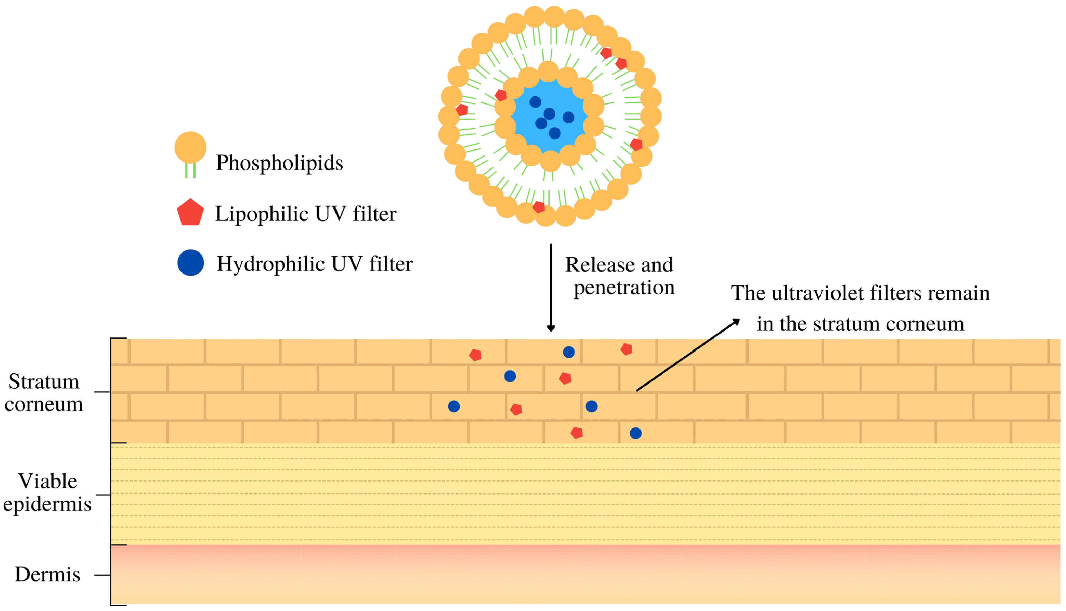 Pharmaceutics 16 00661 g001