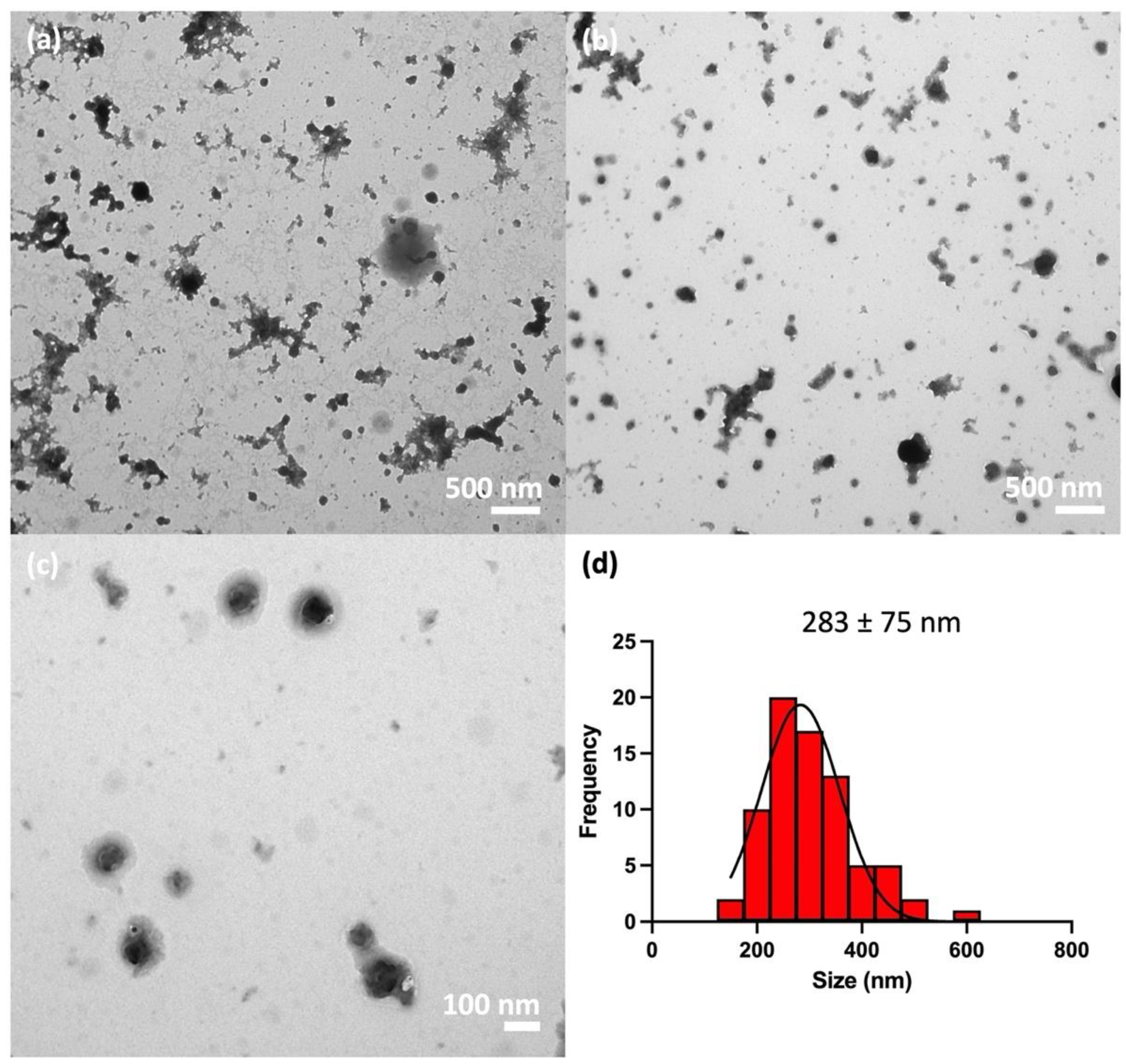Pharmaceutics 16 00662 g007