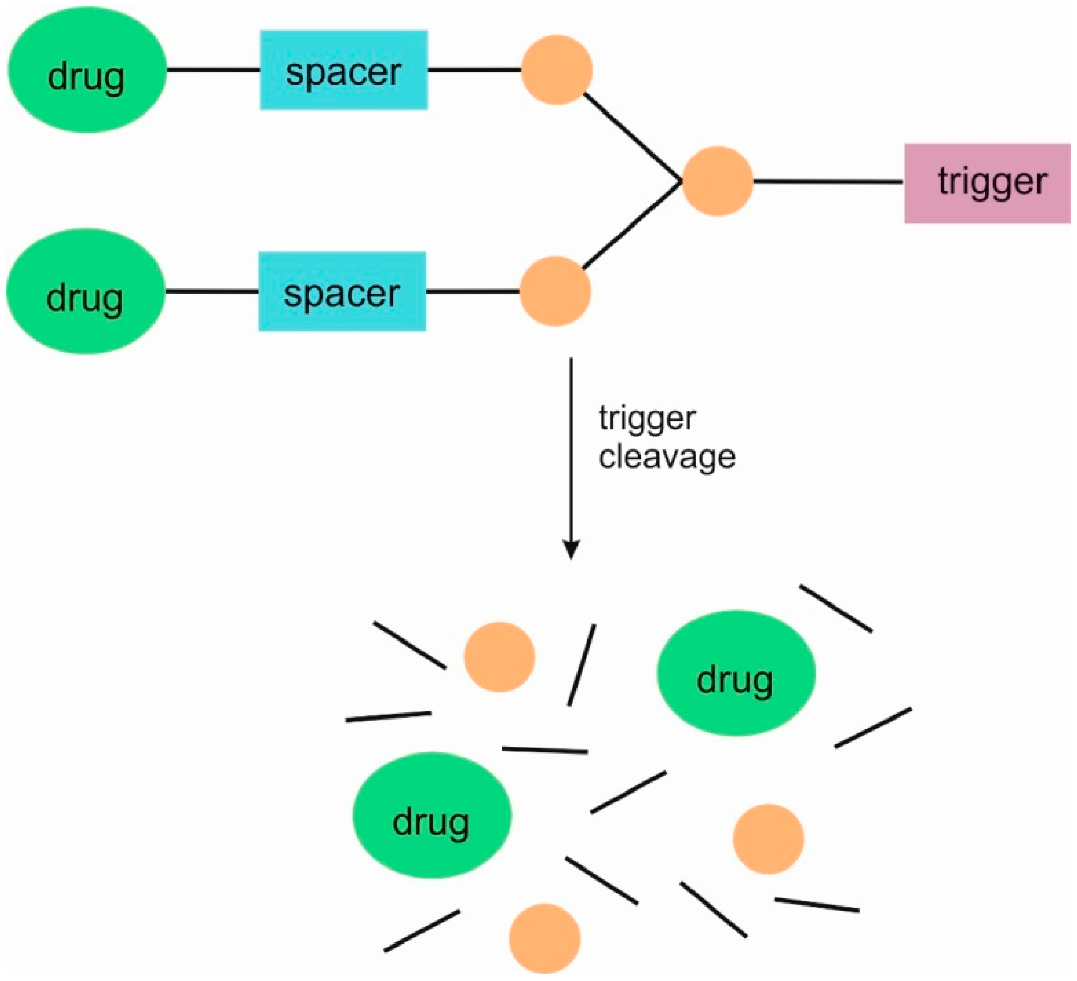 Pharmaceutics 16 00668 g001