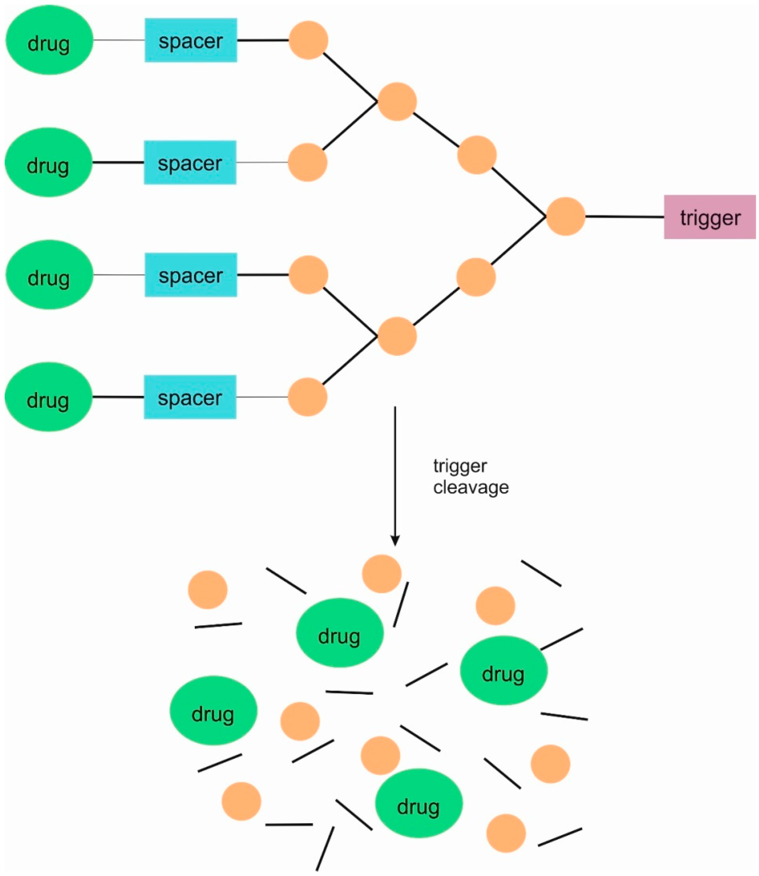 Pharmaceutics 16 00668 g002