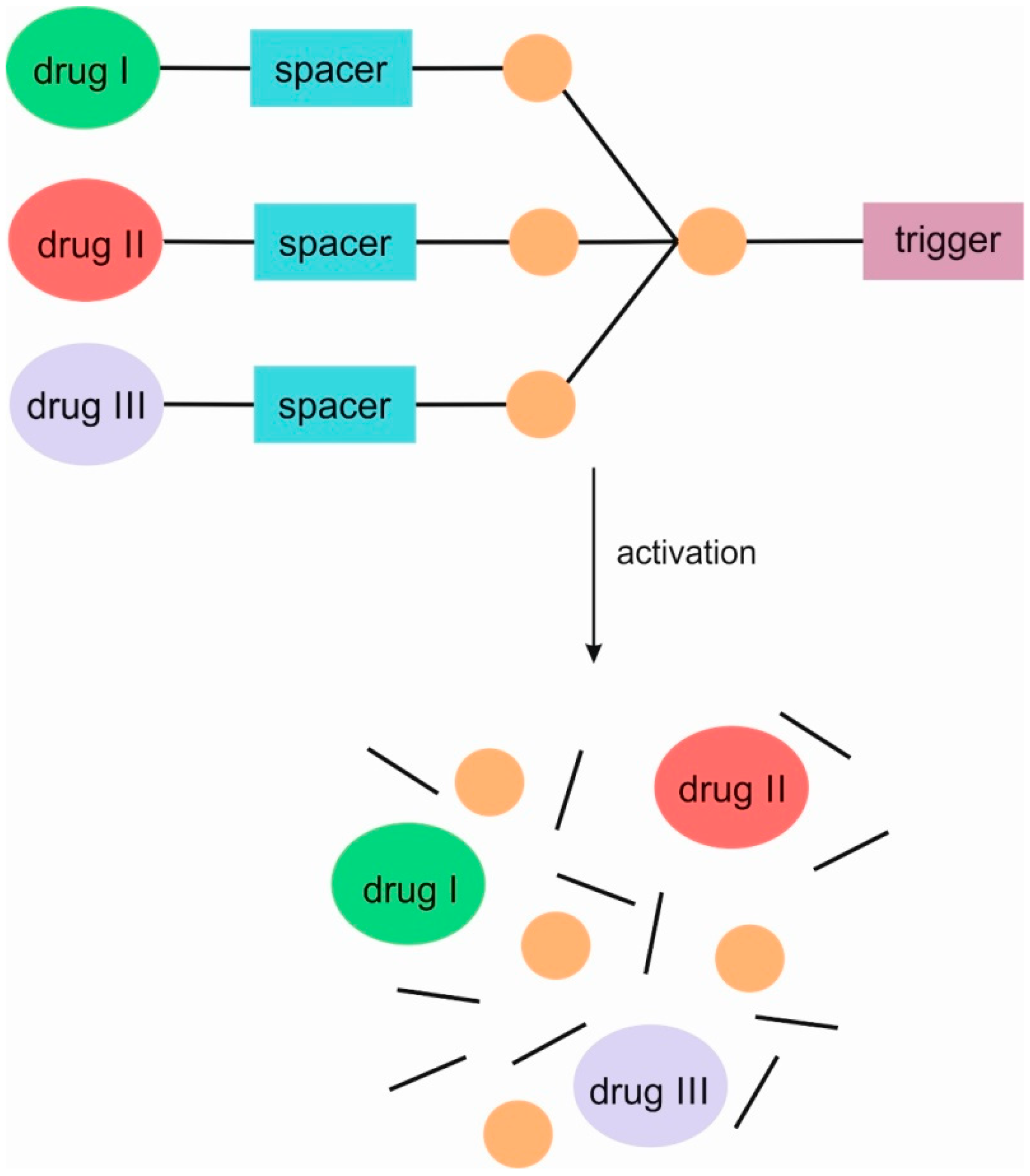 Pharmaceutics 16 00668 g004