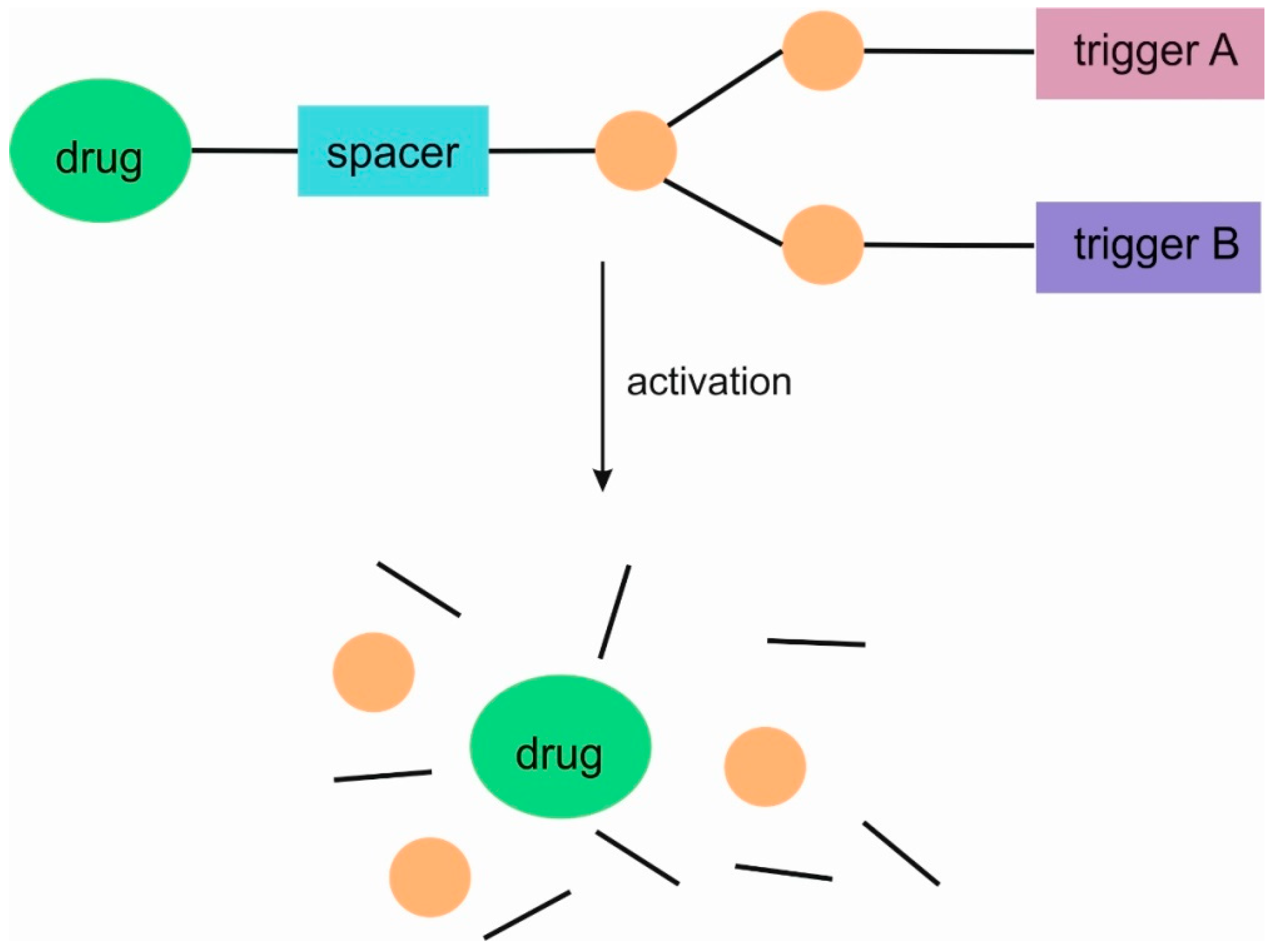 Pharmaceutics 16 00668 g005