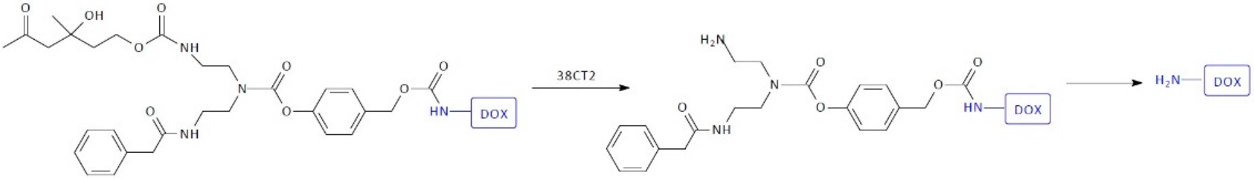 Pharmaceutics 16 00668 g016