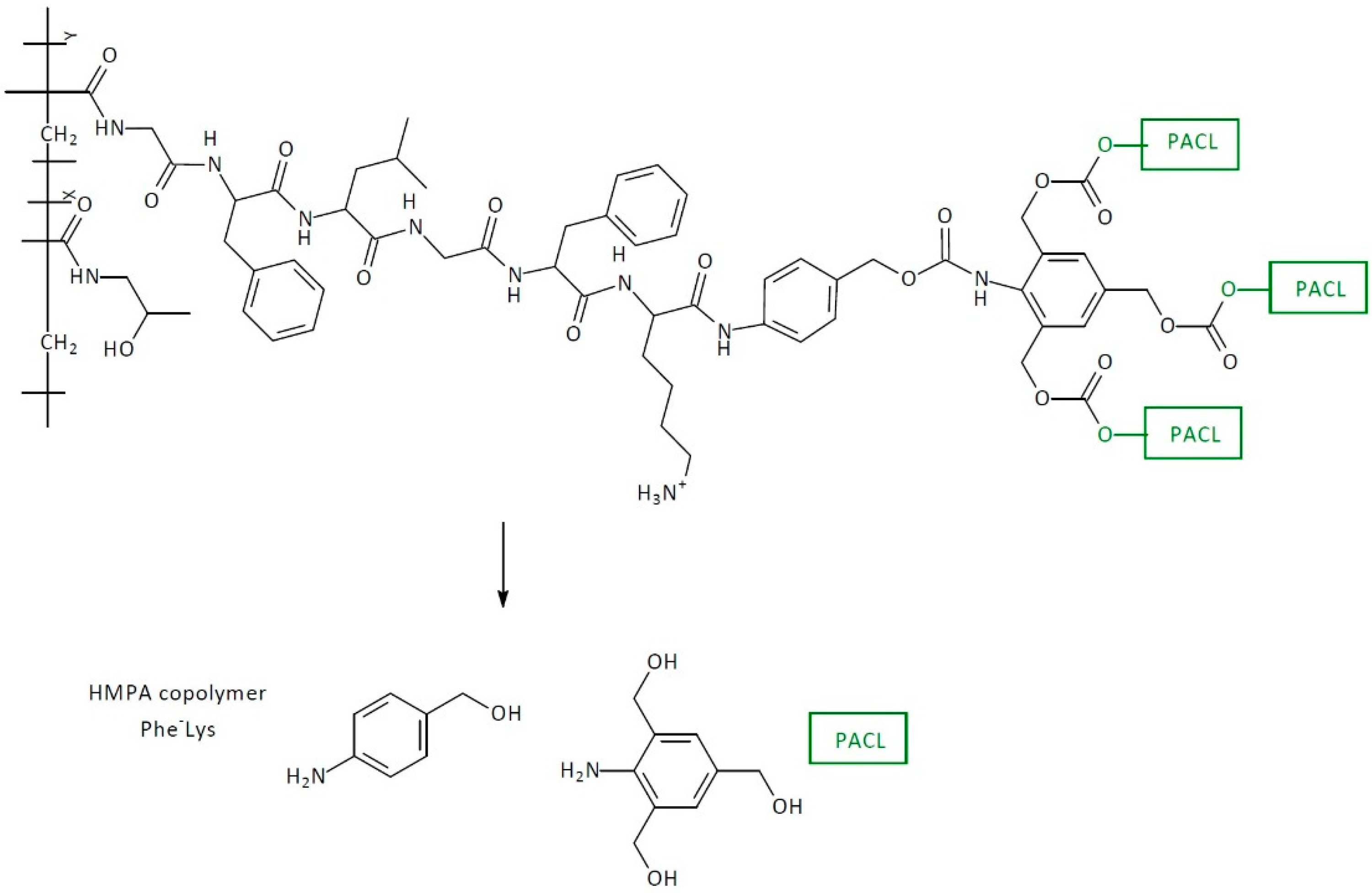 Pharmaceutics 16 00668 g019