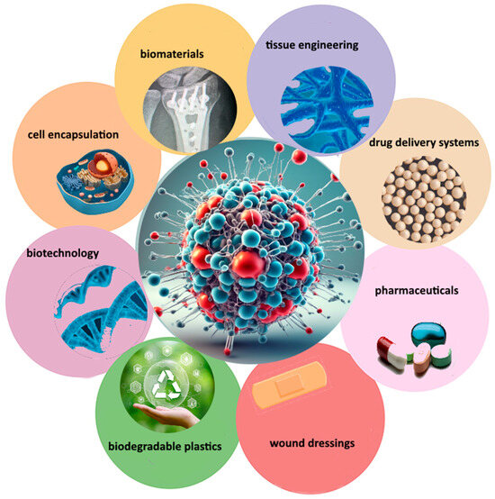 A Review of Recent Developments in Biopolymer Nano-Based Drug Delivery ...