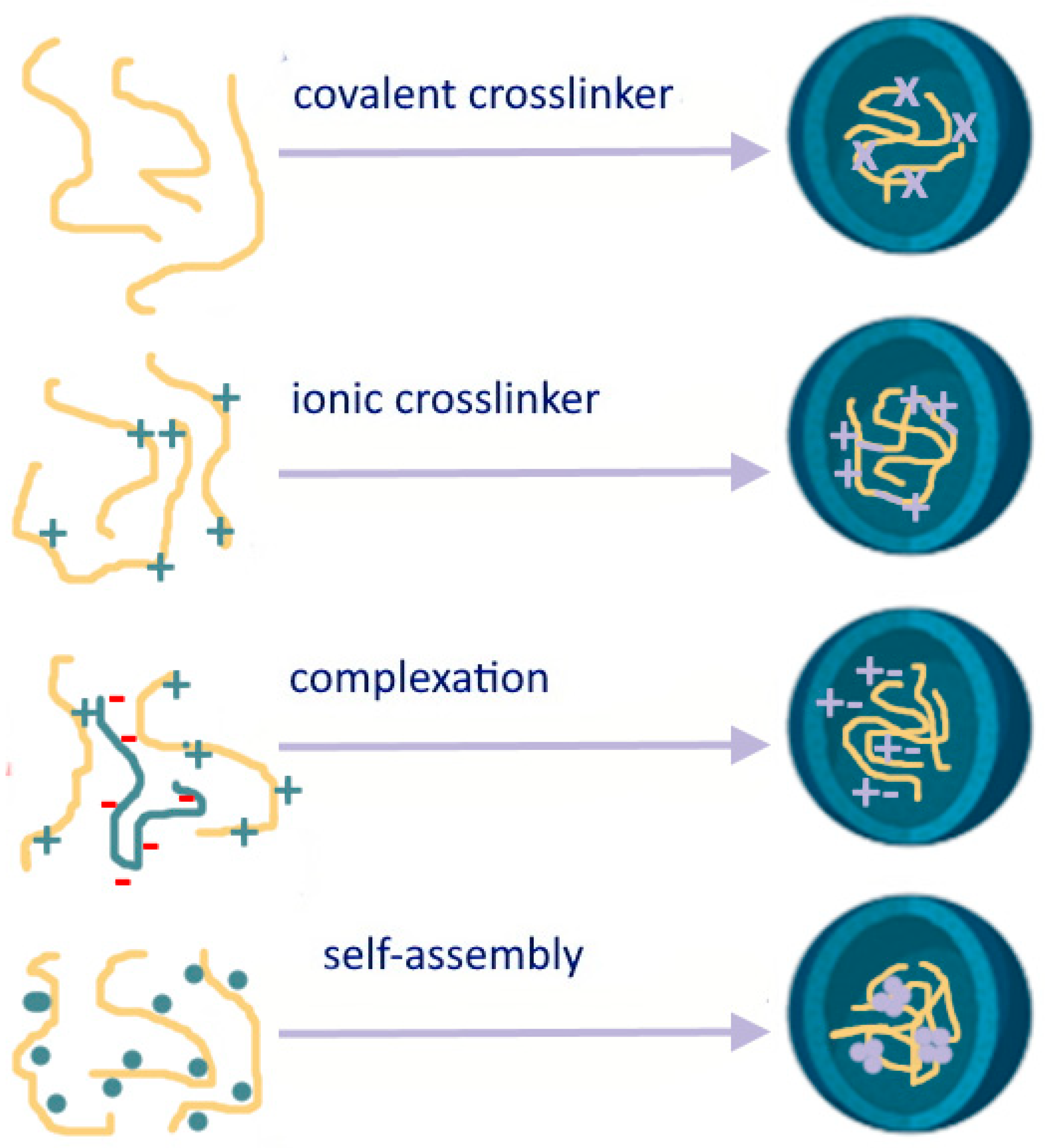 Pharmaceutics 16 00670 g004