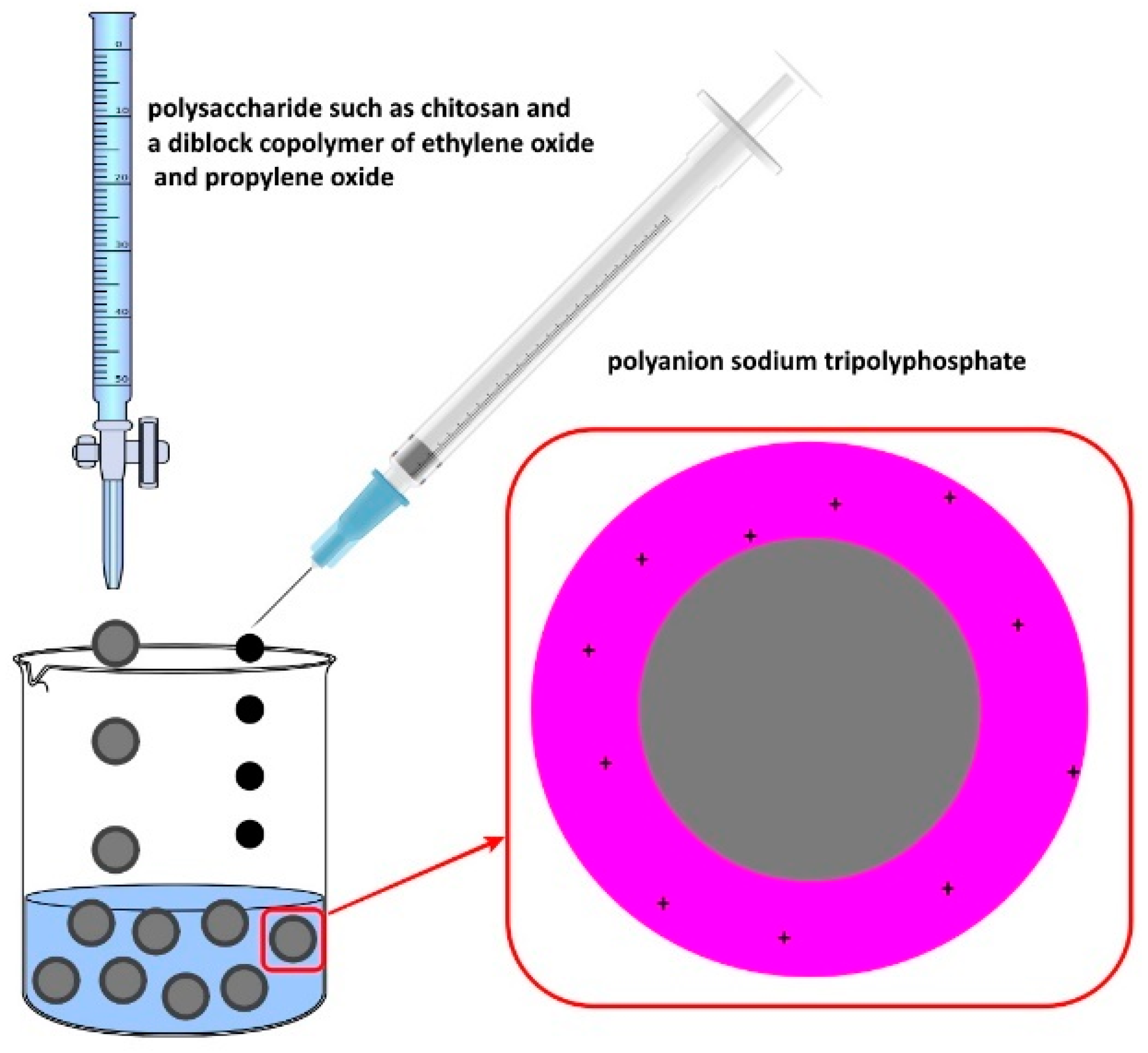 Pharmaceutics 16 00670 g005