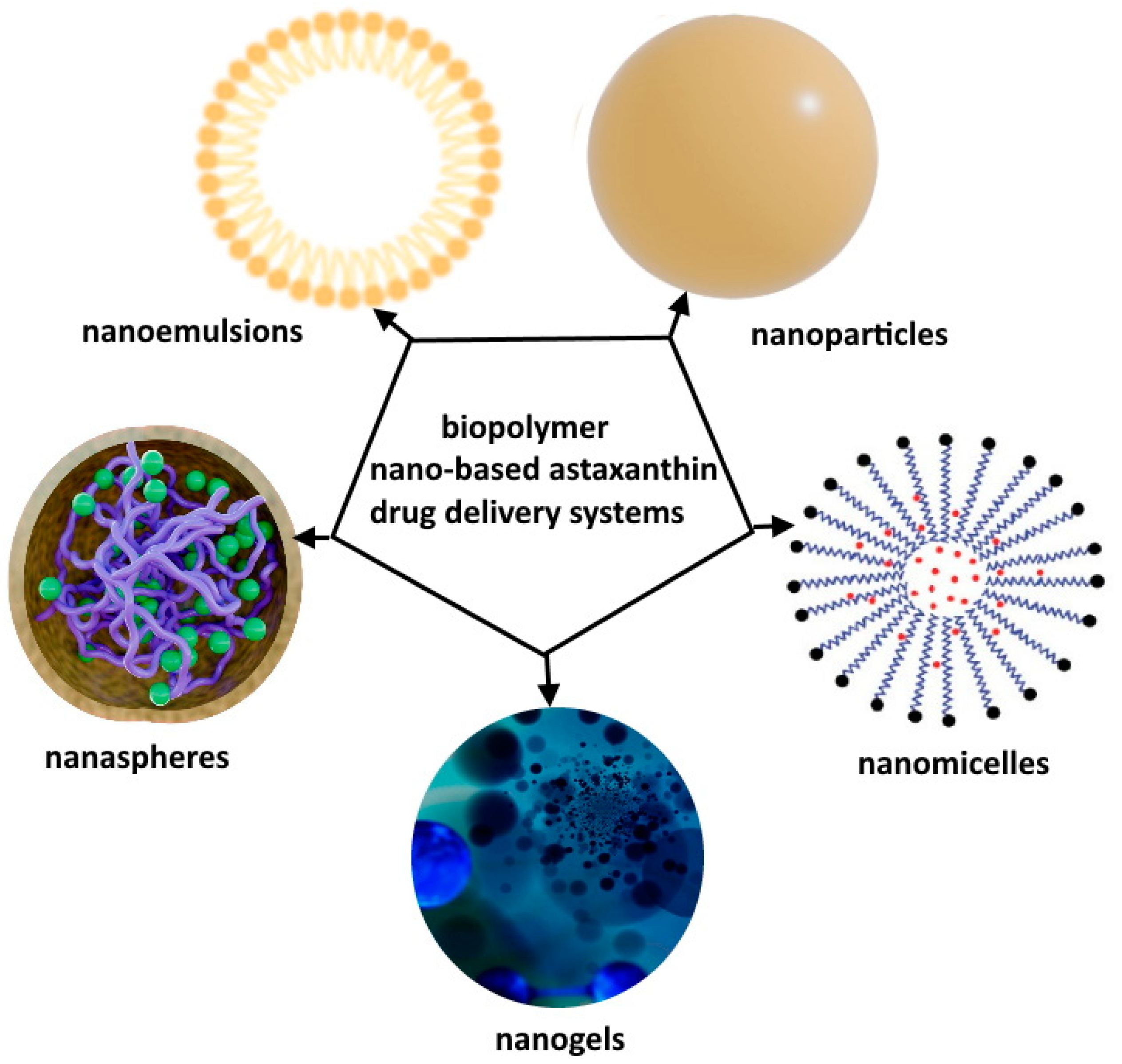 Pharmaceutics 16 00670 g006